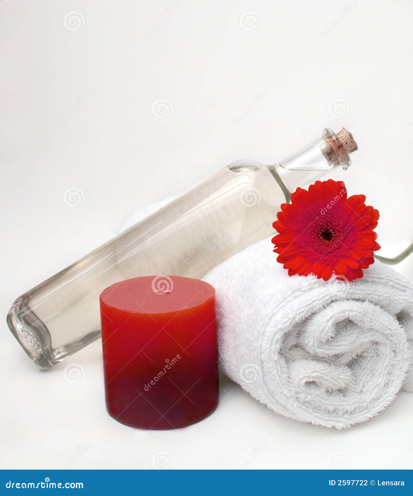 Cleansing Spa Massage stock photo. Image of wellness, bathroom 2597722