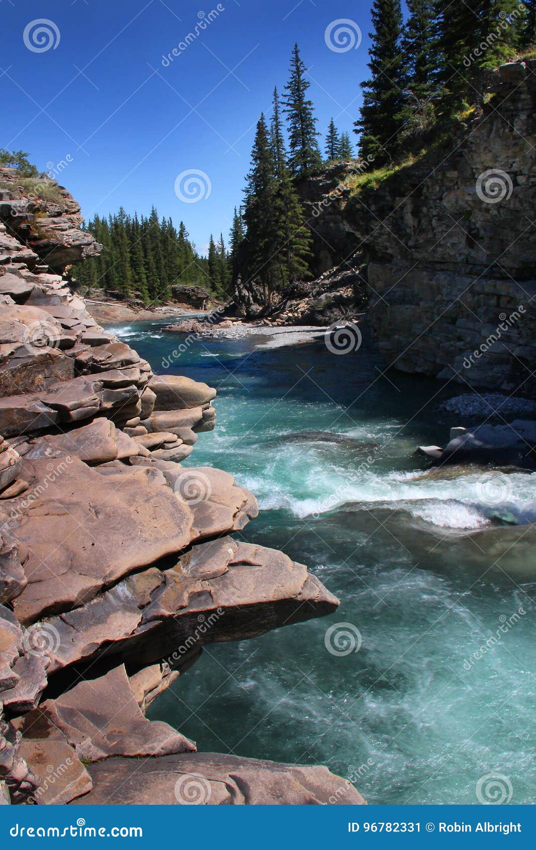 Clear blue sky over the Sheep River,Alberta. Clear waters of the Sheep River with evergreens, rock and blue sky