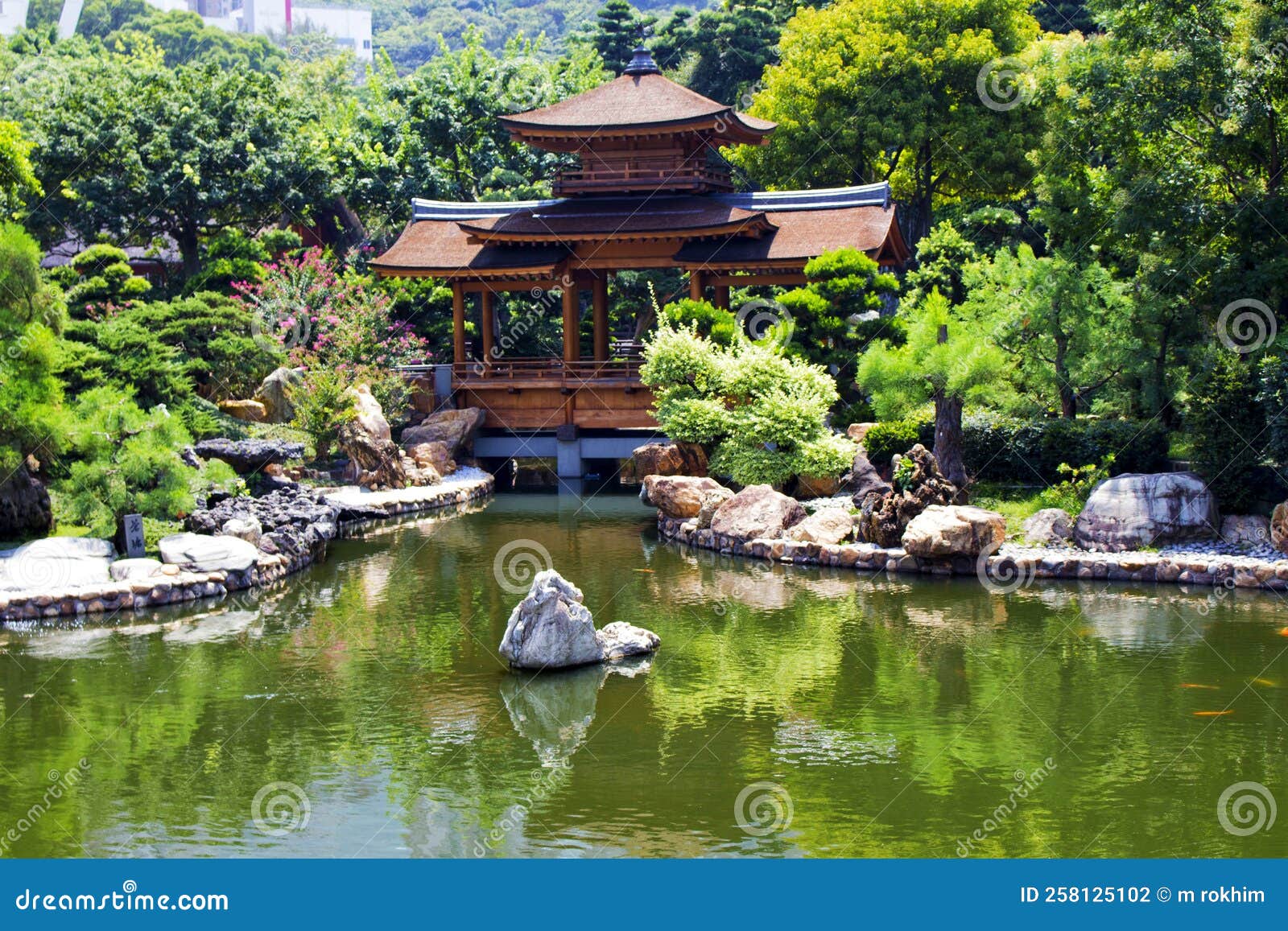 Clear Fish Pond with Lots of Ornamental Fish Stock Photo Image of