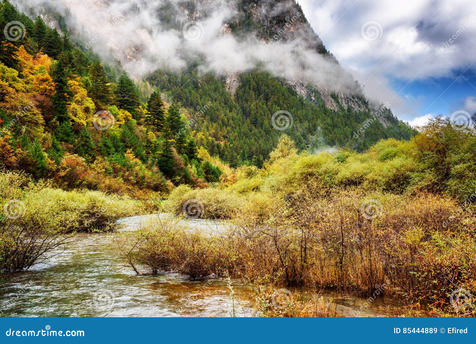 Clear River Water Among Autumn Forest In The Min Mountains Stock Image