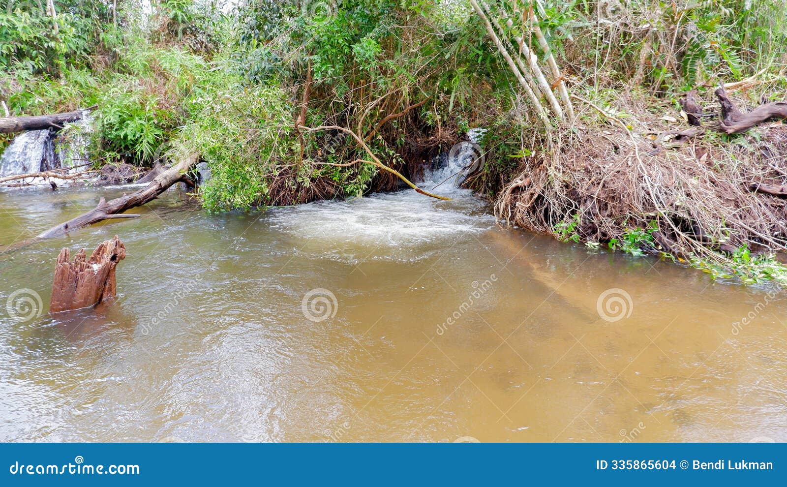 a clear stream flowing in a small forest