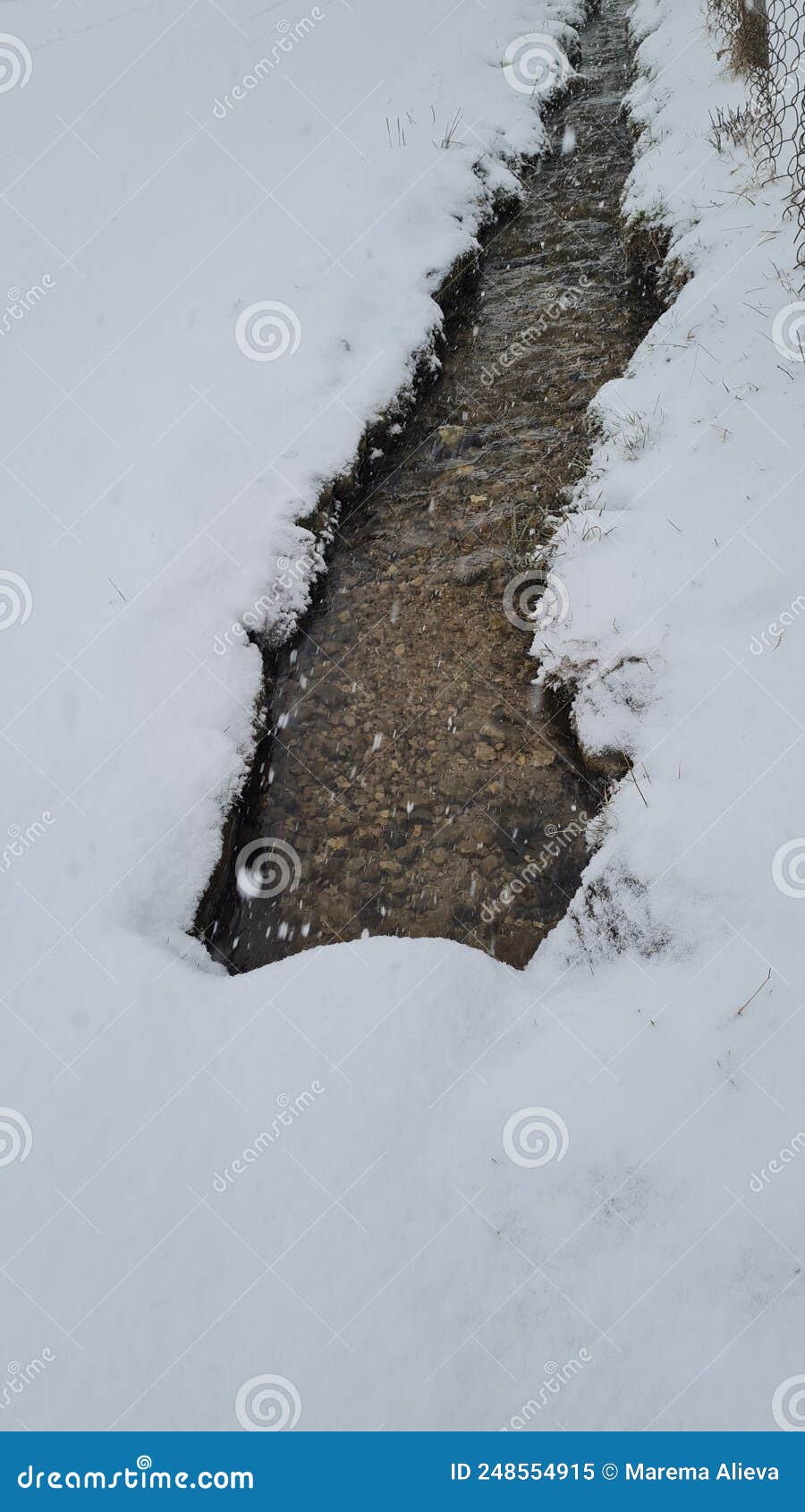 a clear streamlet against the background of snow-white snow