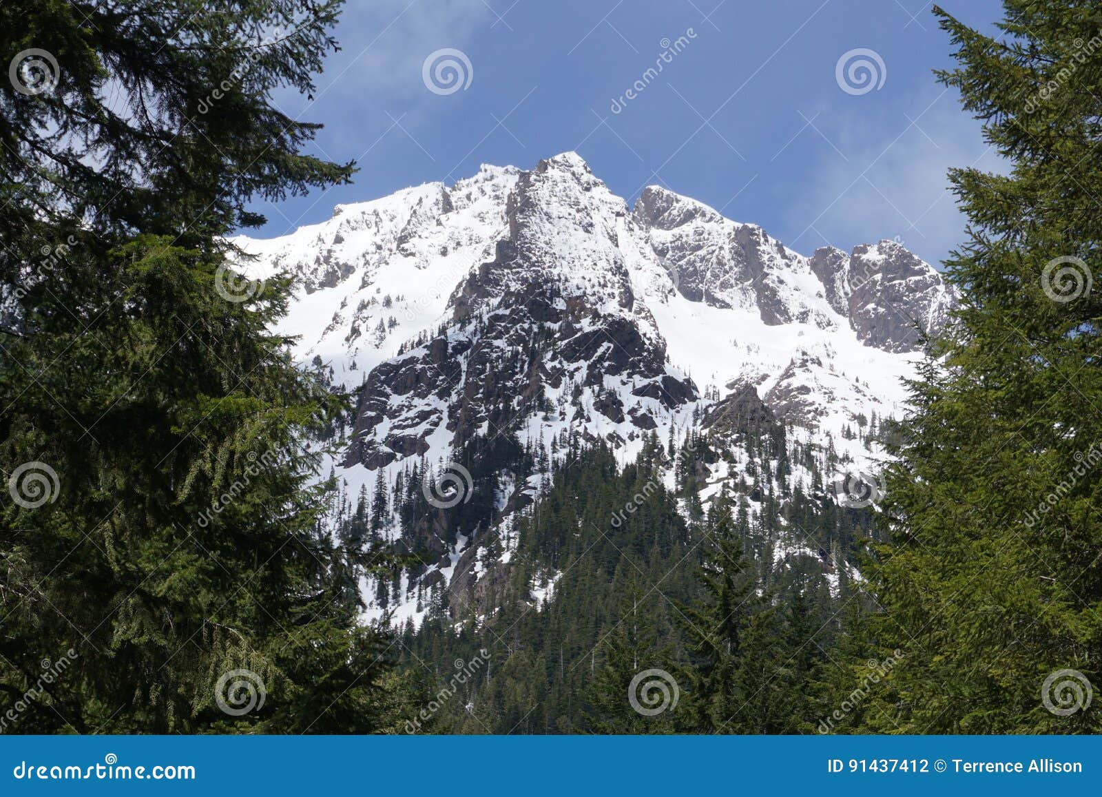 Snow level olympic mountains