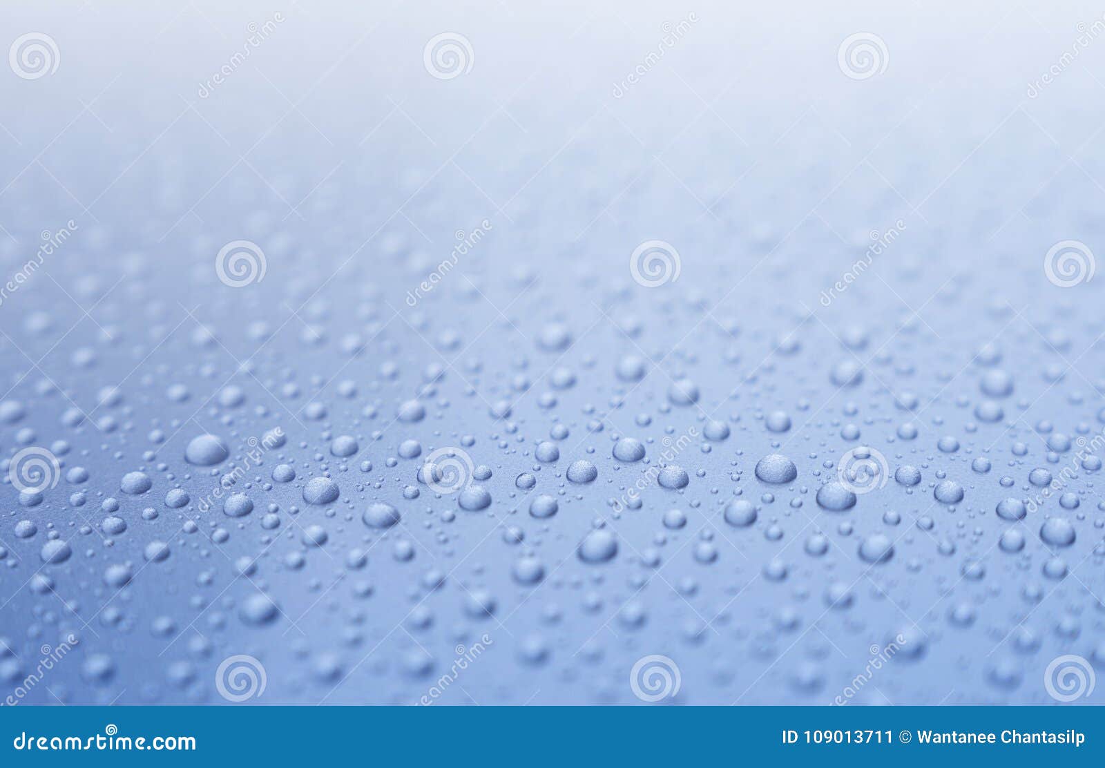 Clear Water Drops on Gradient Light Blue Background. Stock Image