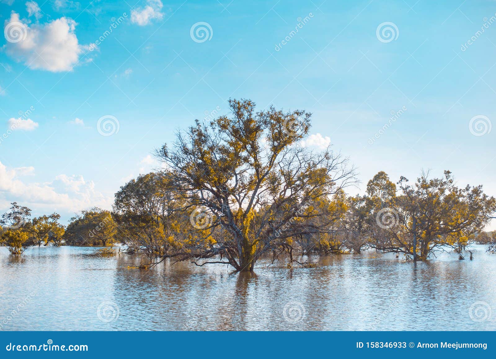 free download reflections the clear free download reflections the clear