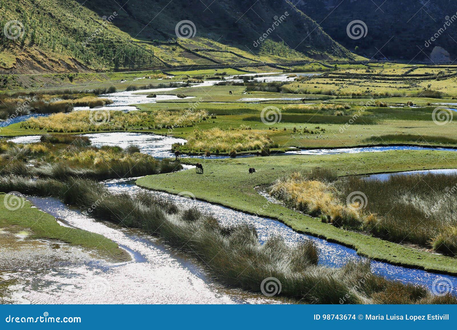 clear waters of caÃÂ±ete river near vilca villag, peru