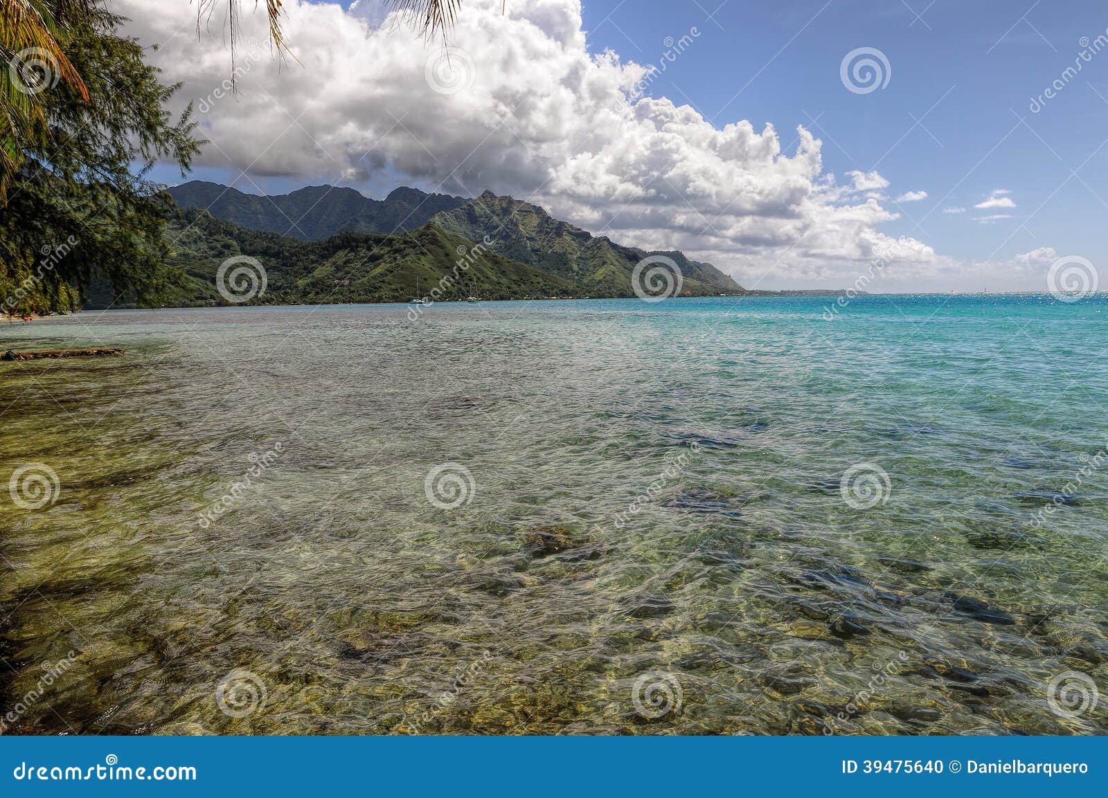 clear waters in moorea.french polynesia