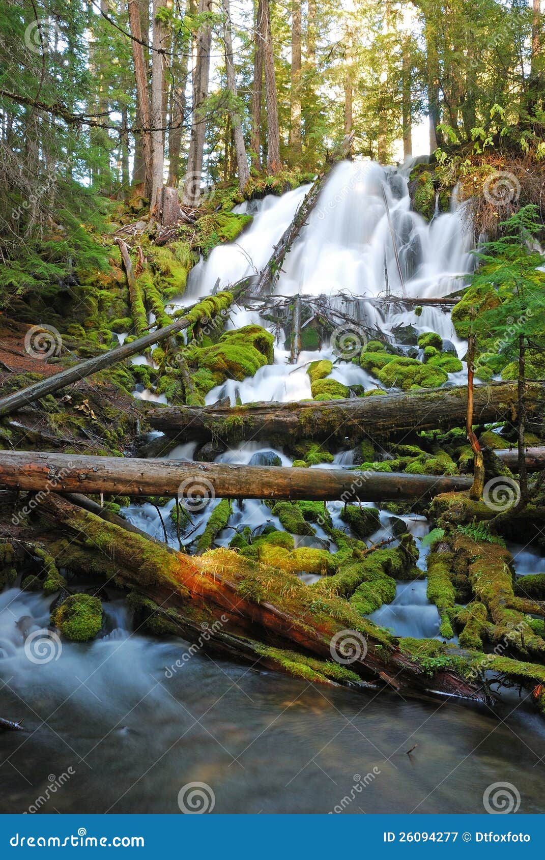 Clearwater Falls stock image. Image of bush, landscape 26094277