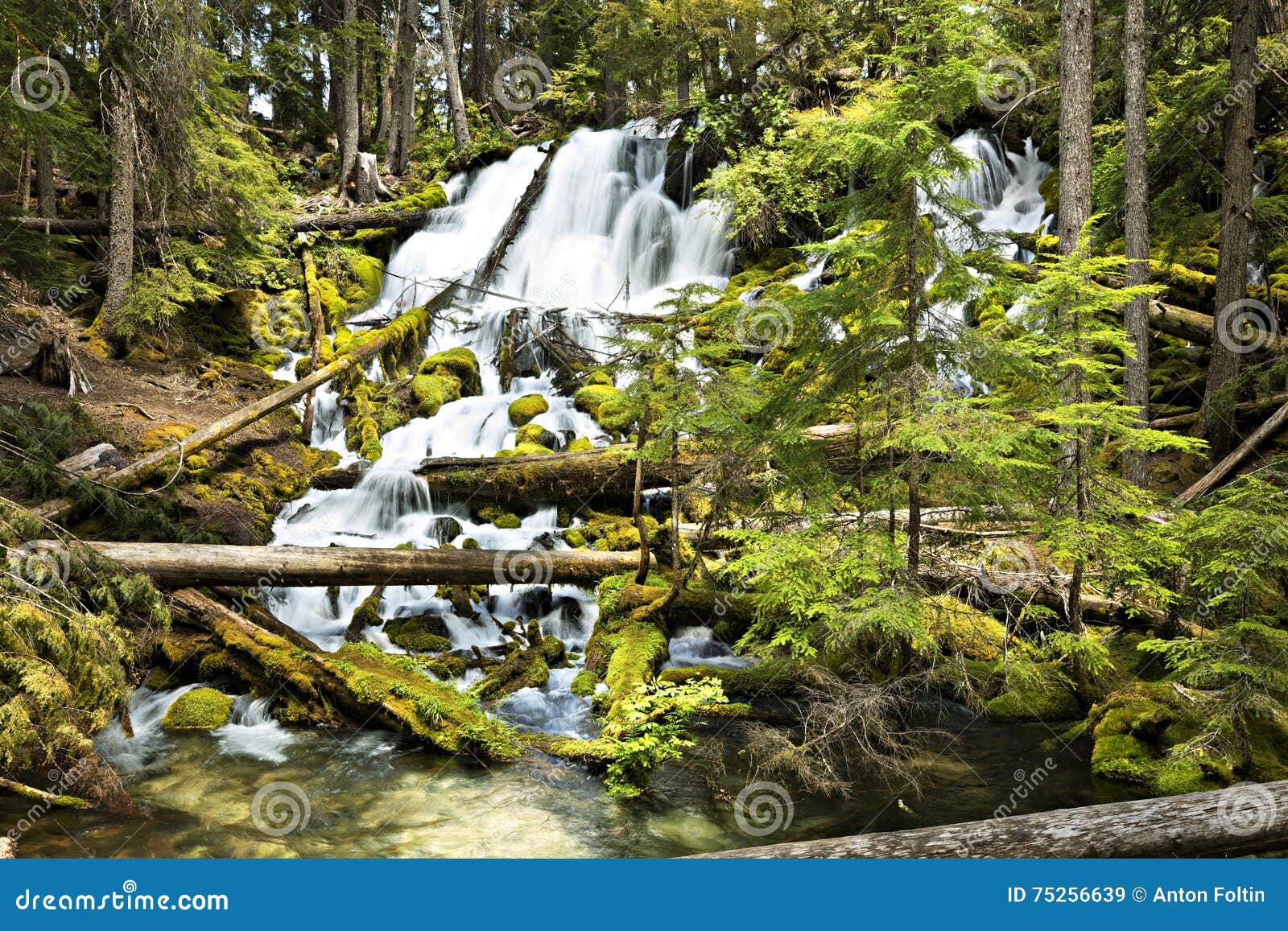 Clearwater Falls stock image. Image of mazama, river 75256639