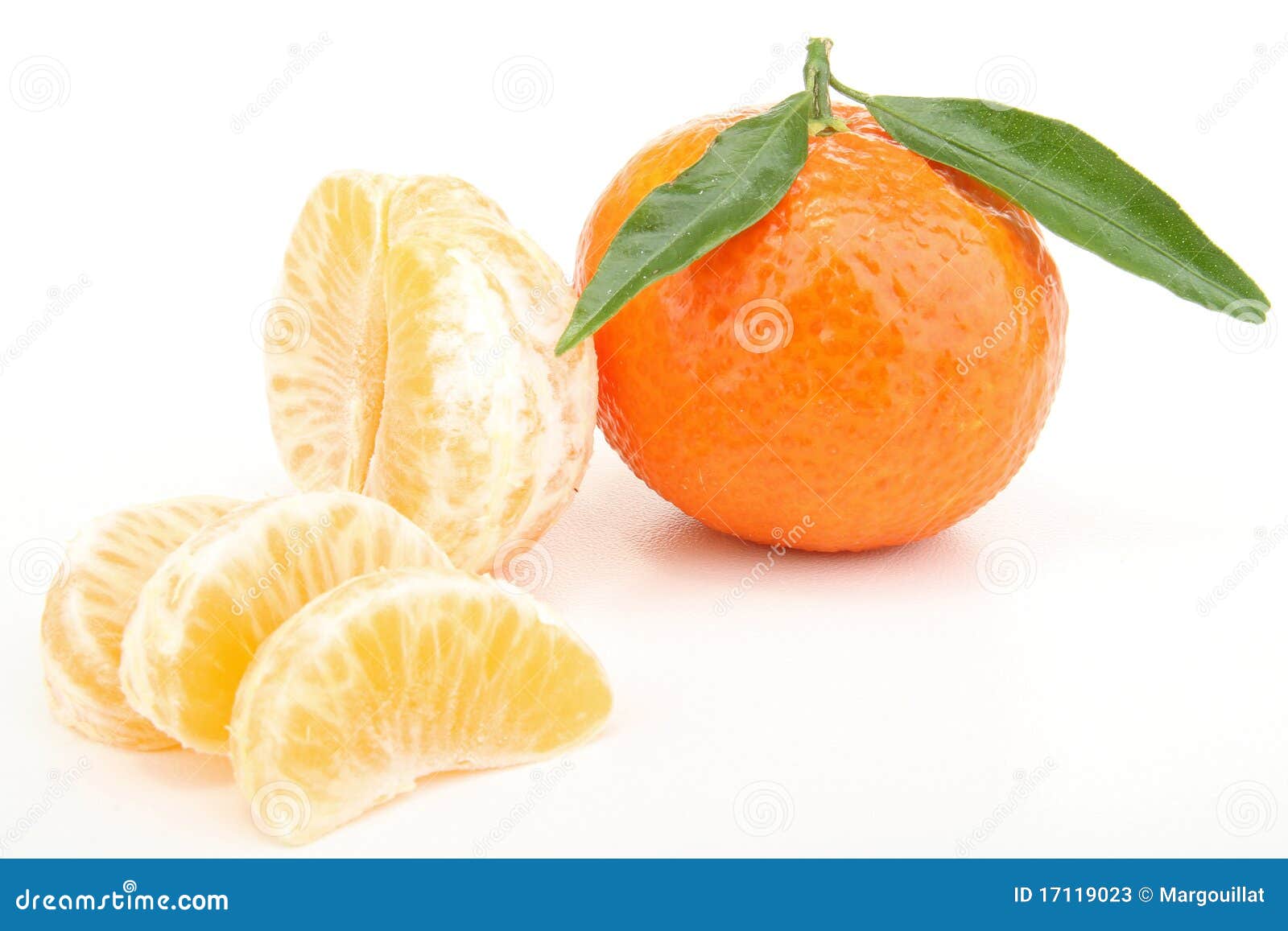 Clementine stock image. Image of leaf, fruit, white, clementine 17119023