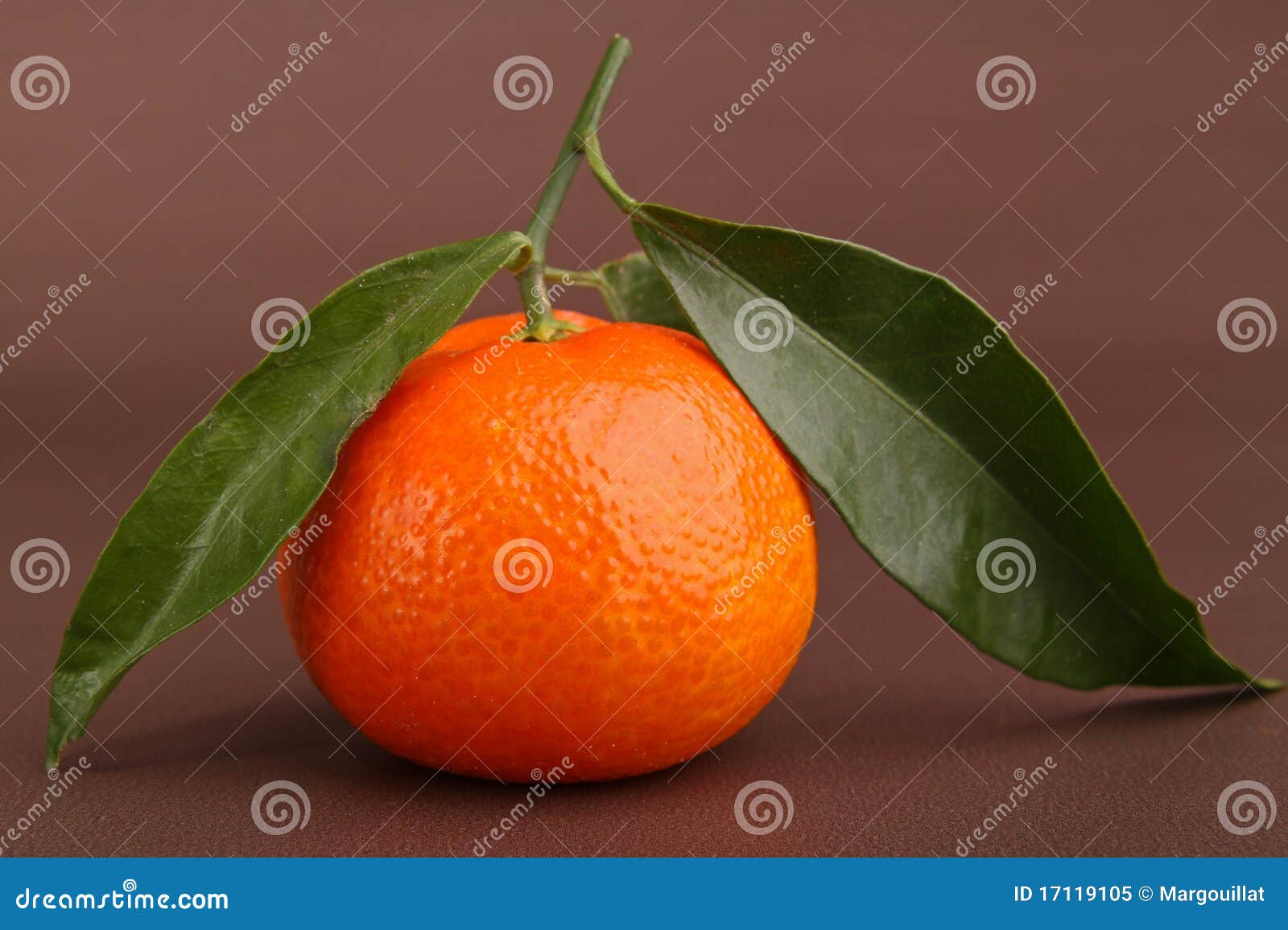 clementines with leaves clementines with leaves