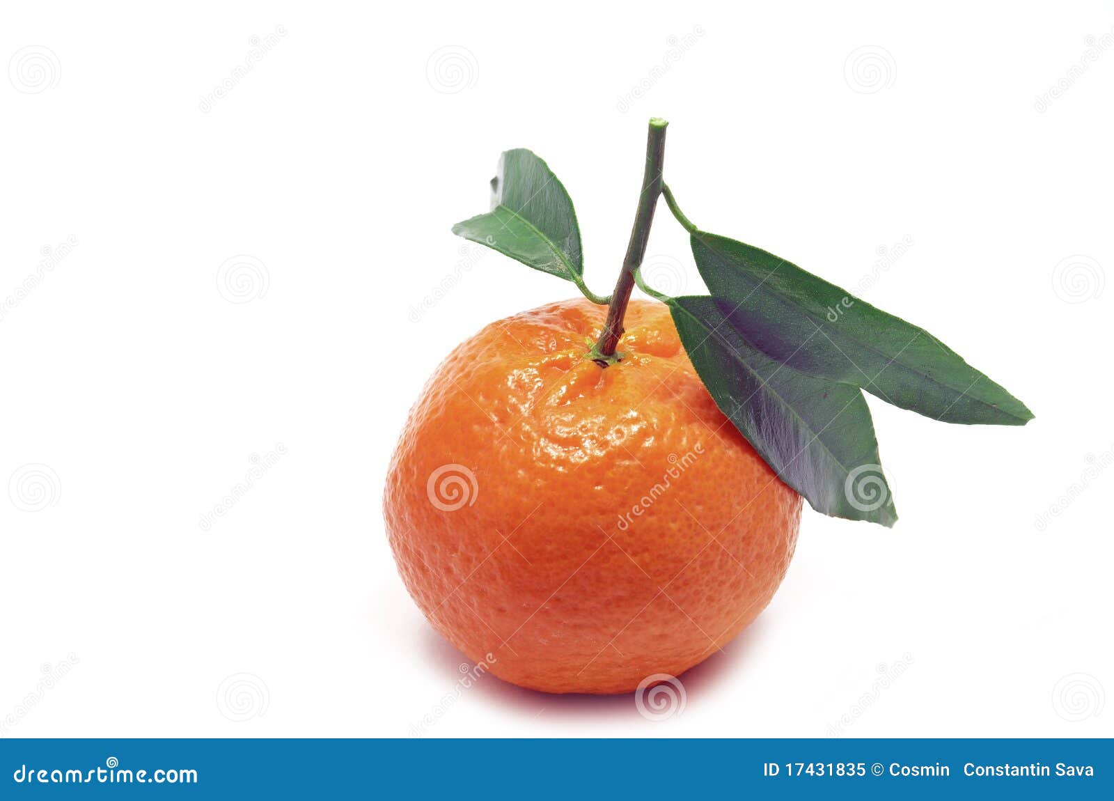 halo clementines halo clementines