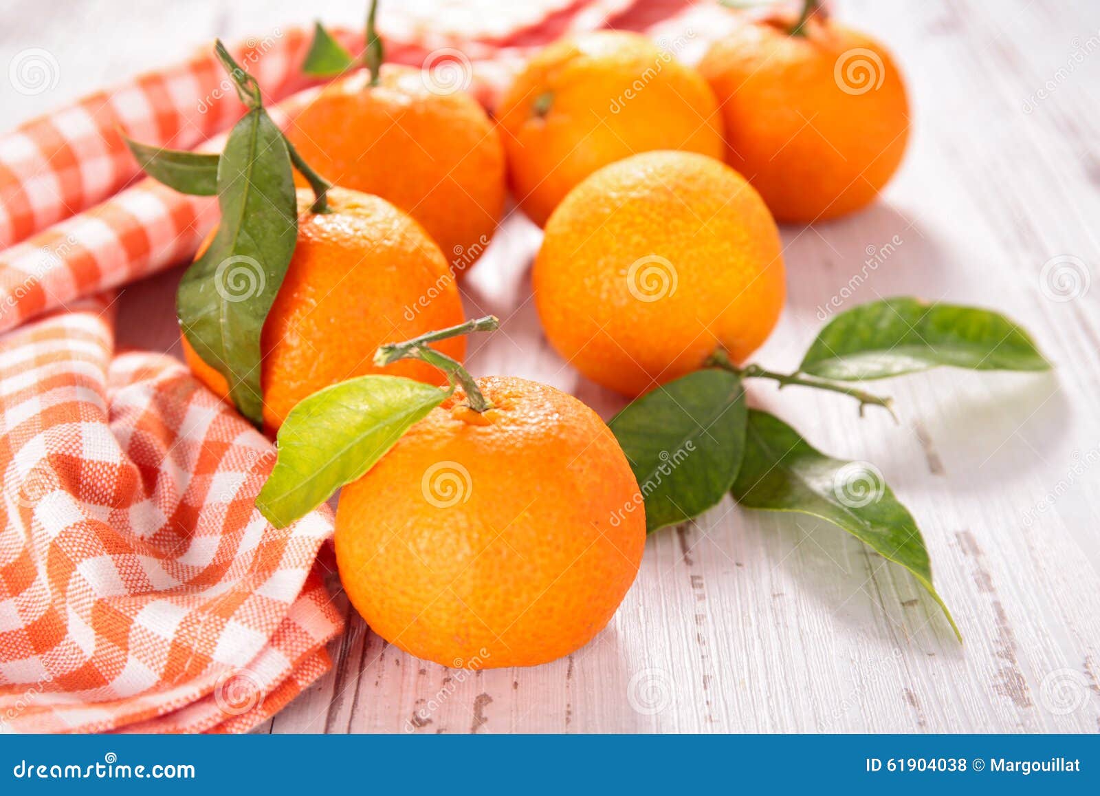 Clementine and leaf stock photo. Image of healthy, citrus 61904038