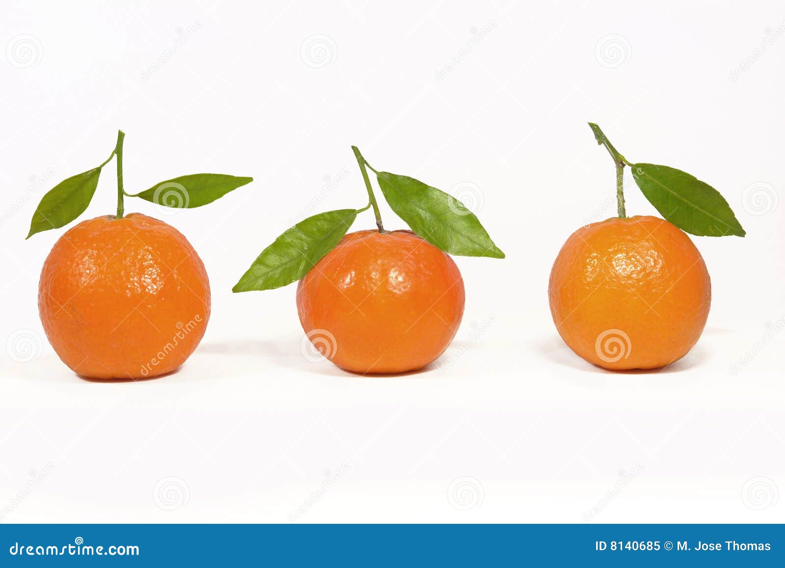Clementine orange stock image. Image of concept, white 8140685