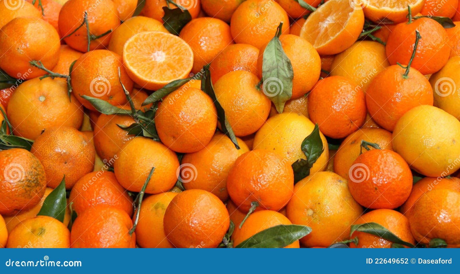 clementine oranges season clementine oranges season