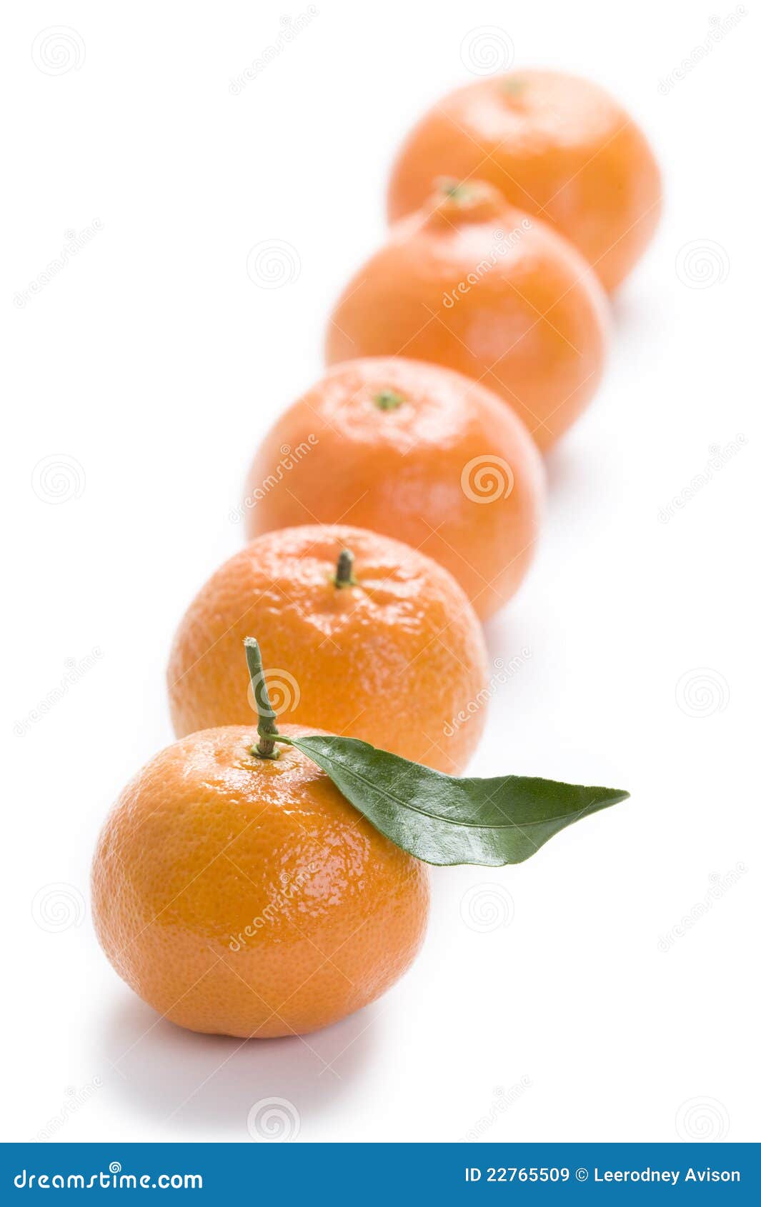 Clementine oranges stock image. Image of fruit, clementines 22765509