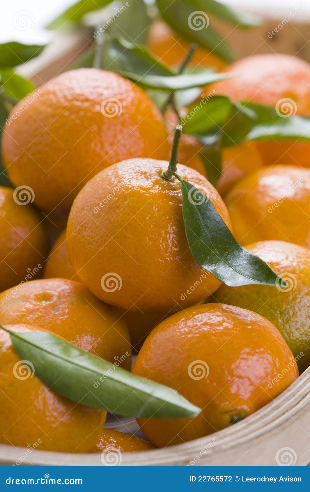 clementine vs orange clementine vs orange