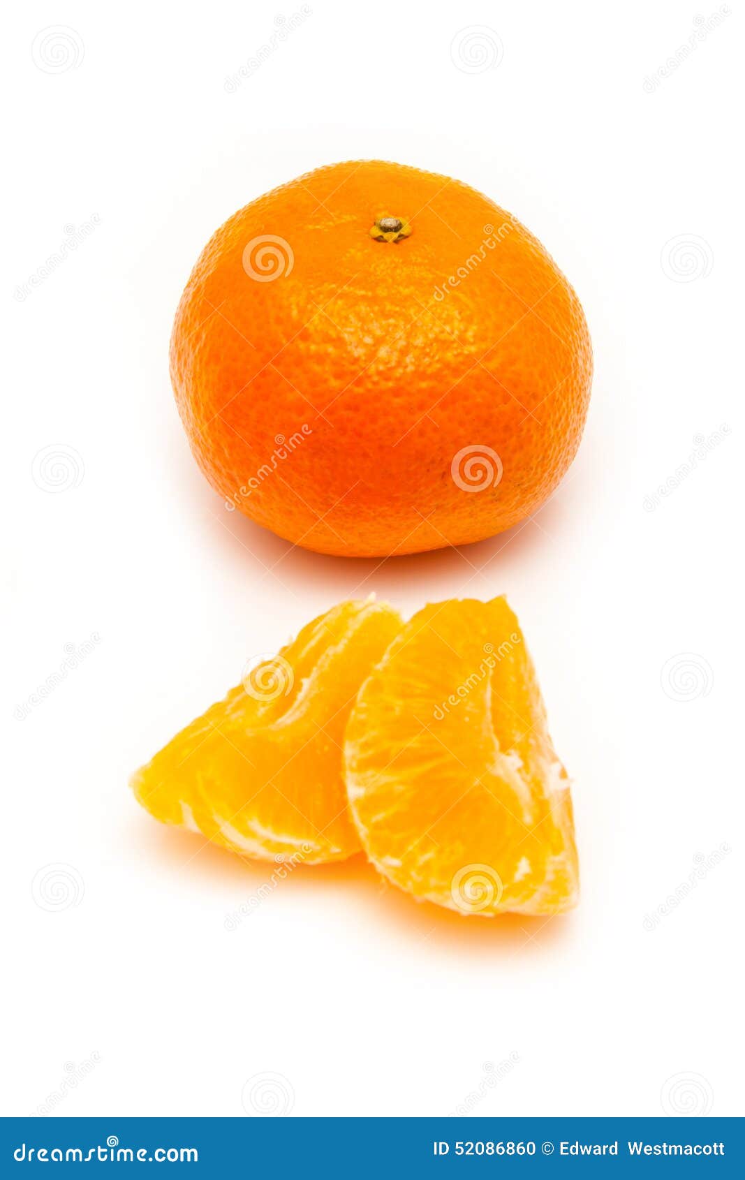 Clementine with Segments on a White Background Stock Photo Image of
