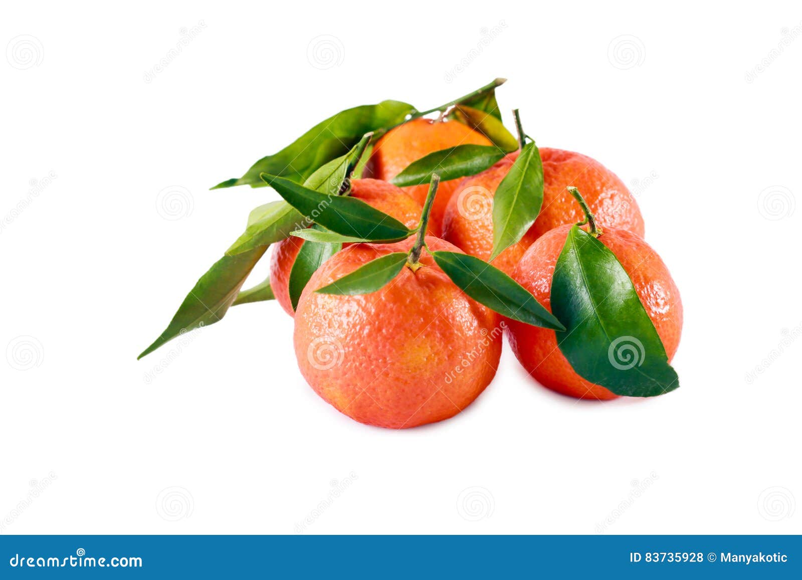 Clementines with Green Leaves Stock Photo Image of oranges, healthy