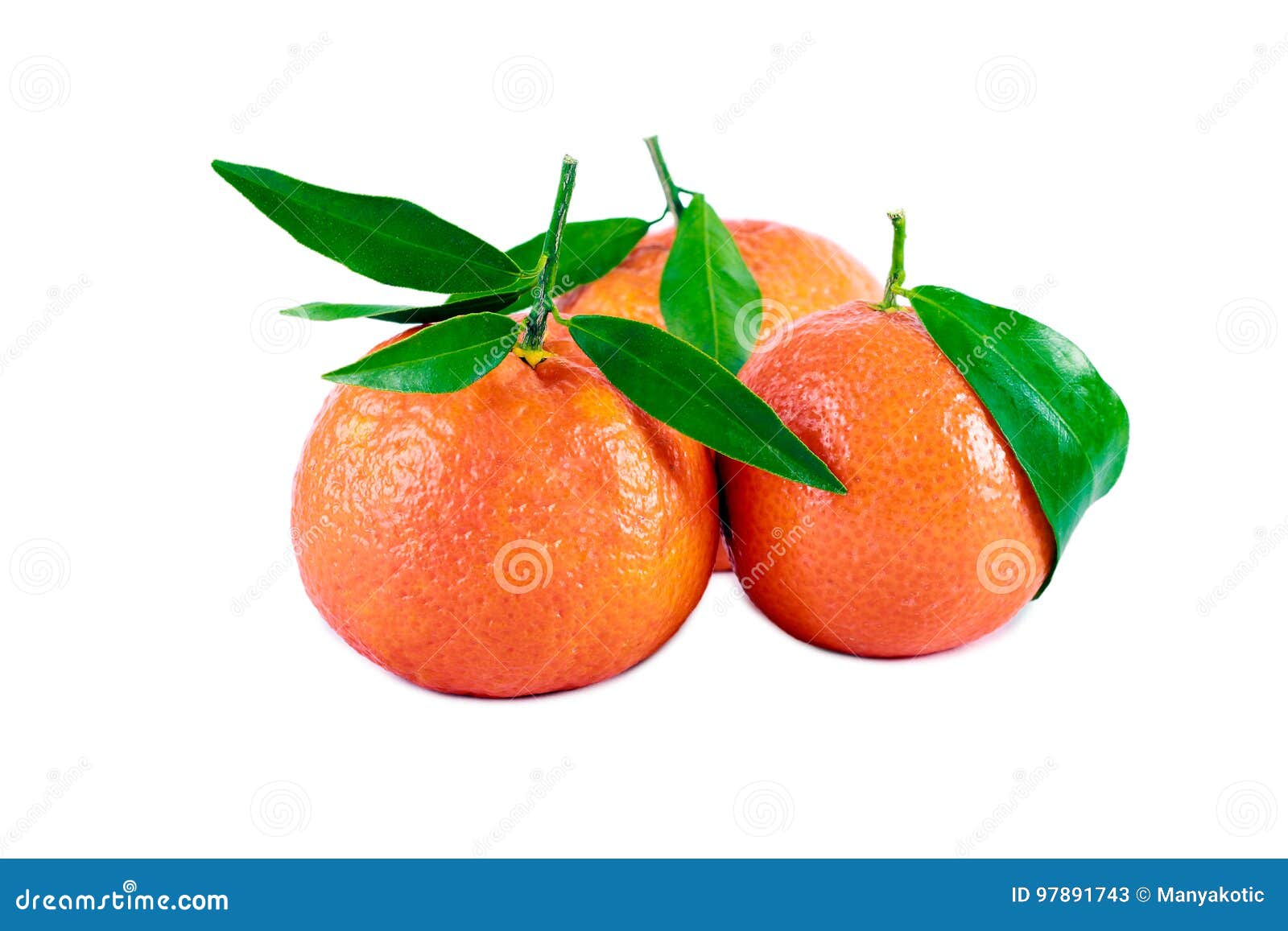 Clementines with Green Leaves Stock Image Image of oranges, fresh