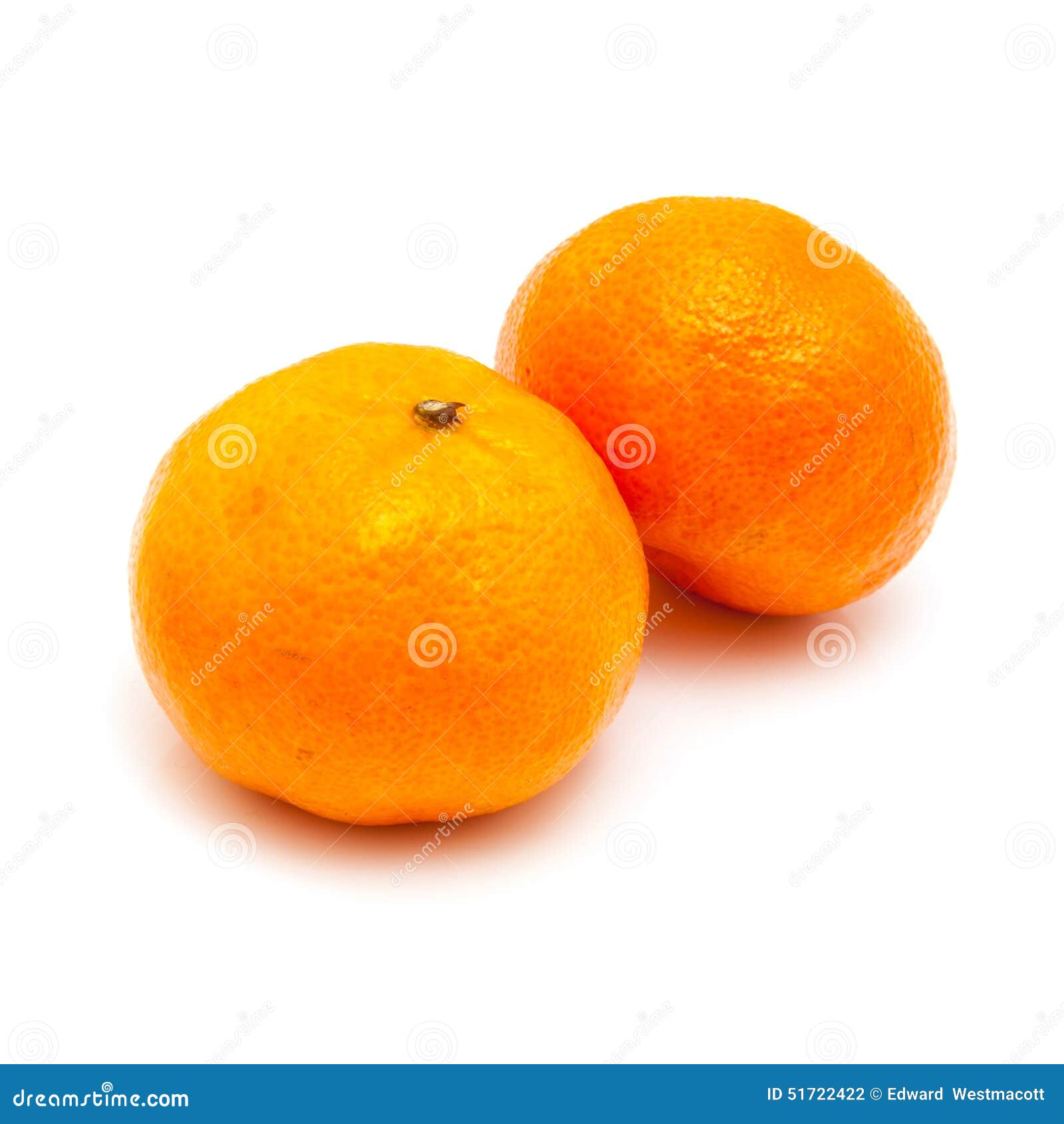 Clementines on a White Background Stock Photo Image of ingredents