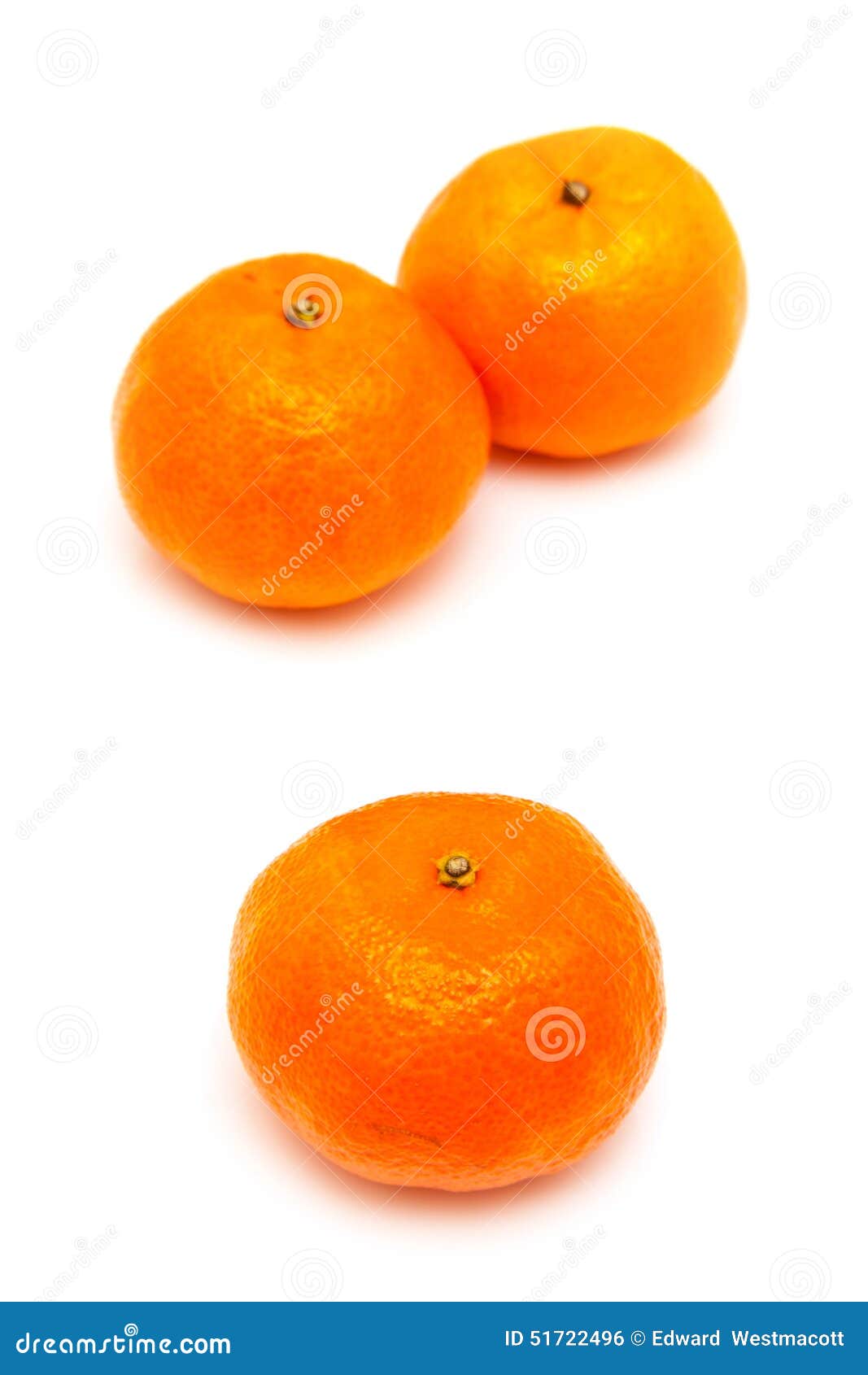 Clementines on a White Background Stock Photo Image of mandarine