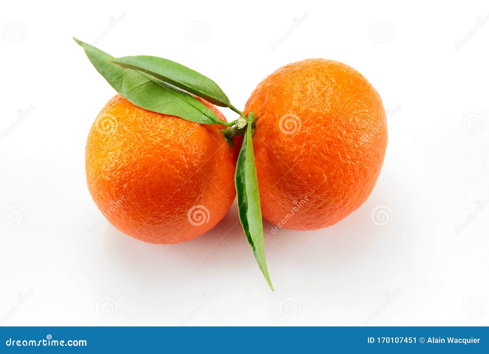 Clementines stock image. Image of background, clementine 170107451