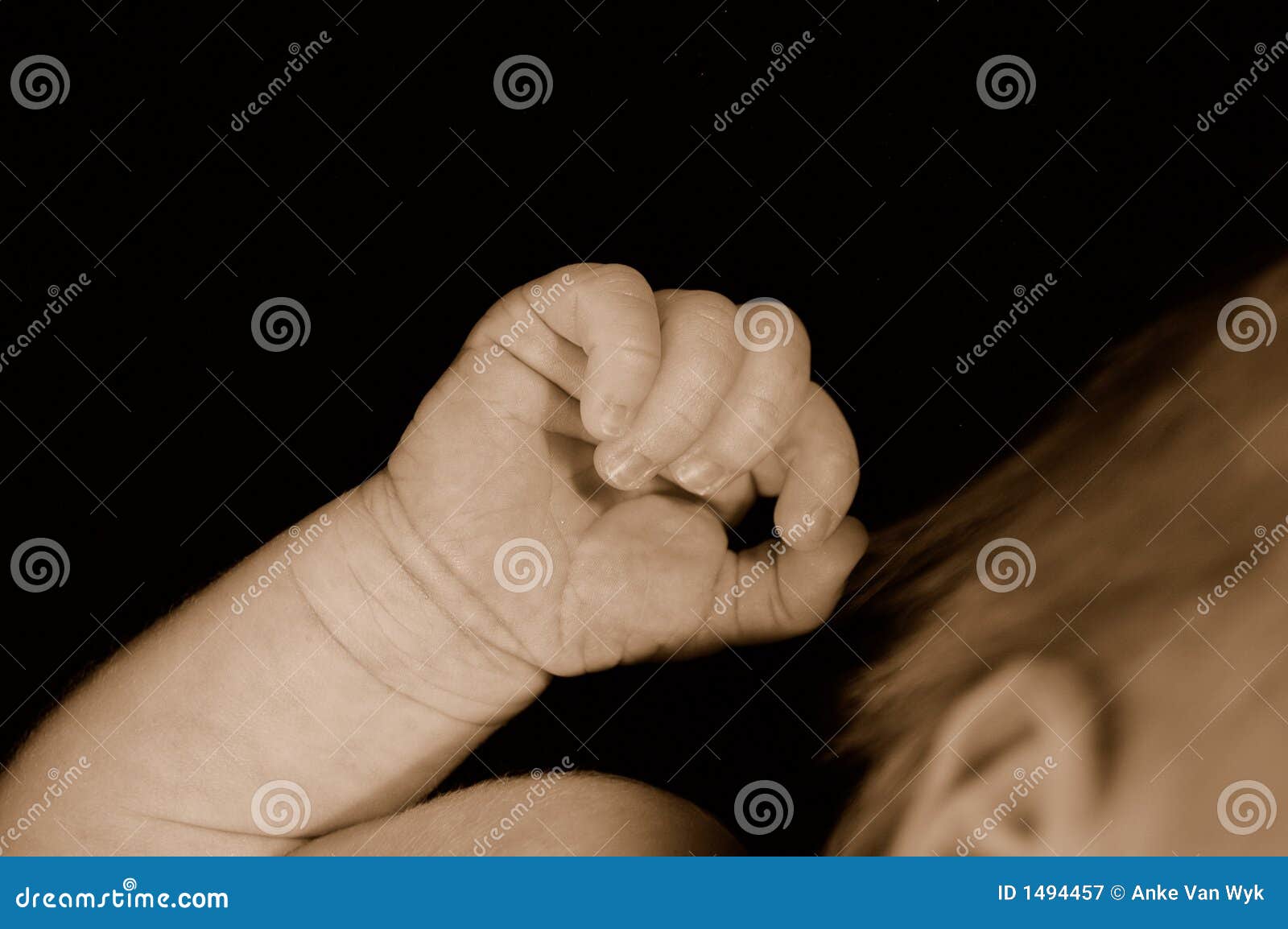 Clenched Hand of Newborn Baby Stock Image Image of cute, details 1494457