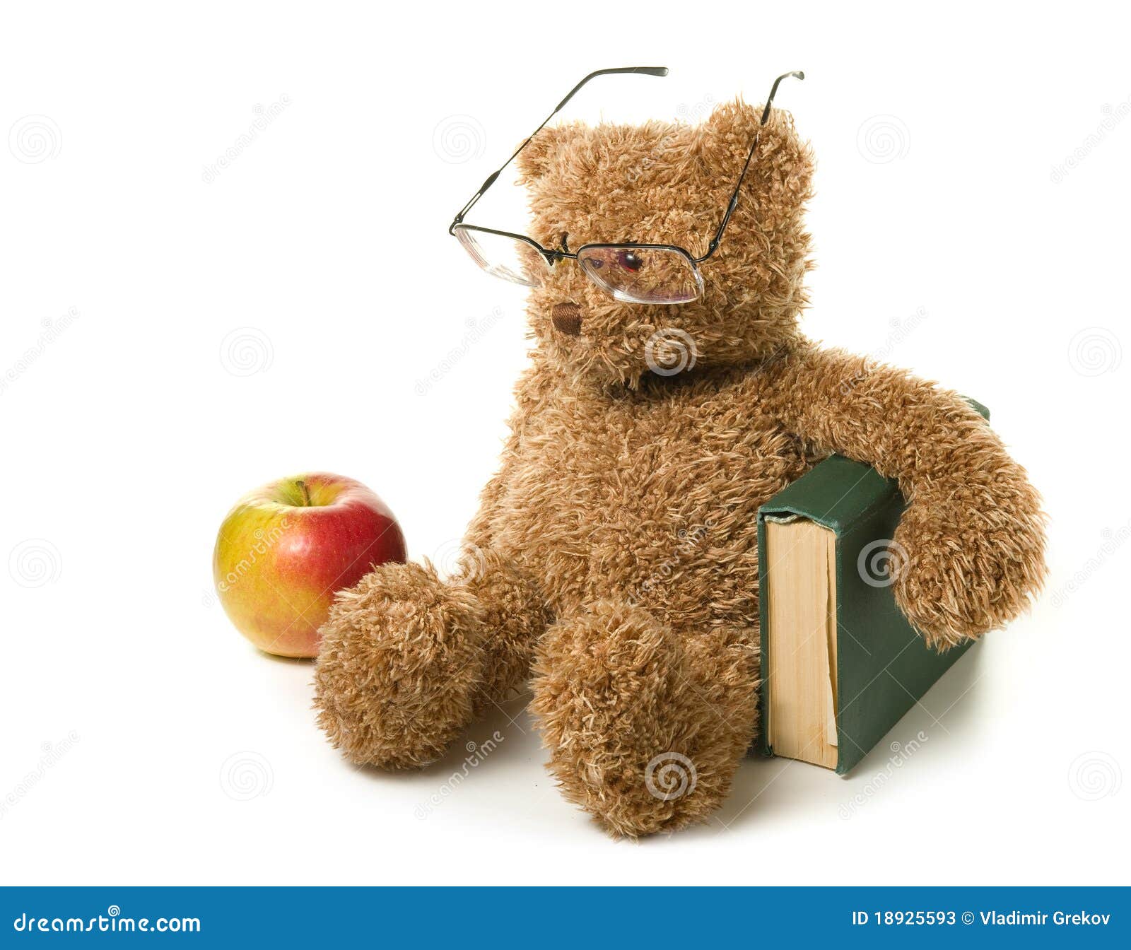 886 Clever Bear Stock Photos Free Royalty Free Stock Photos From 886-clever-bear-stock-photos-free-royalty-free-stock-photos-from