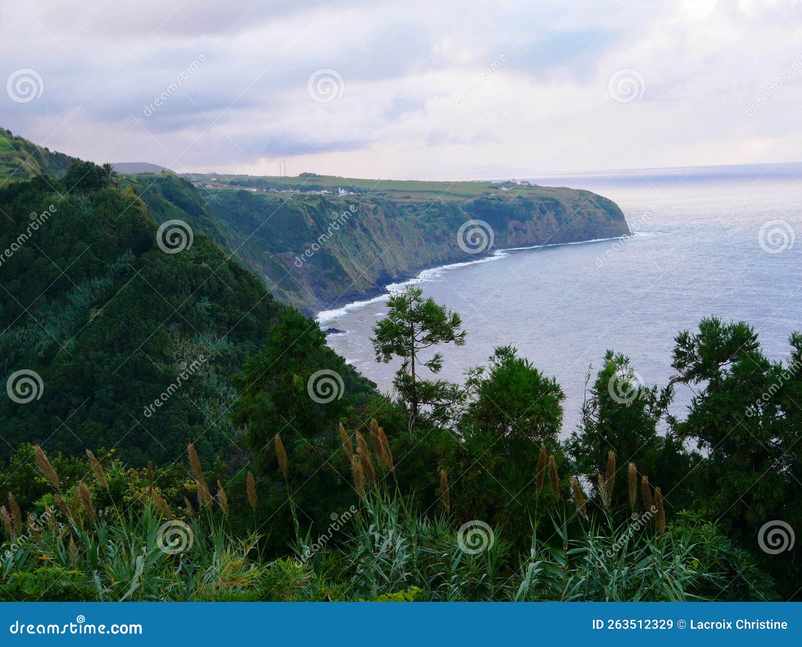 cliff of algarvia seen from the miradouro despe-te-que-suas on the island of sao miguel