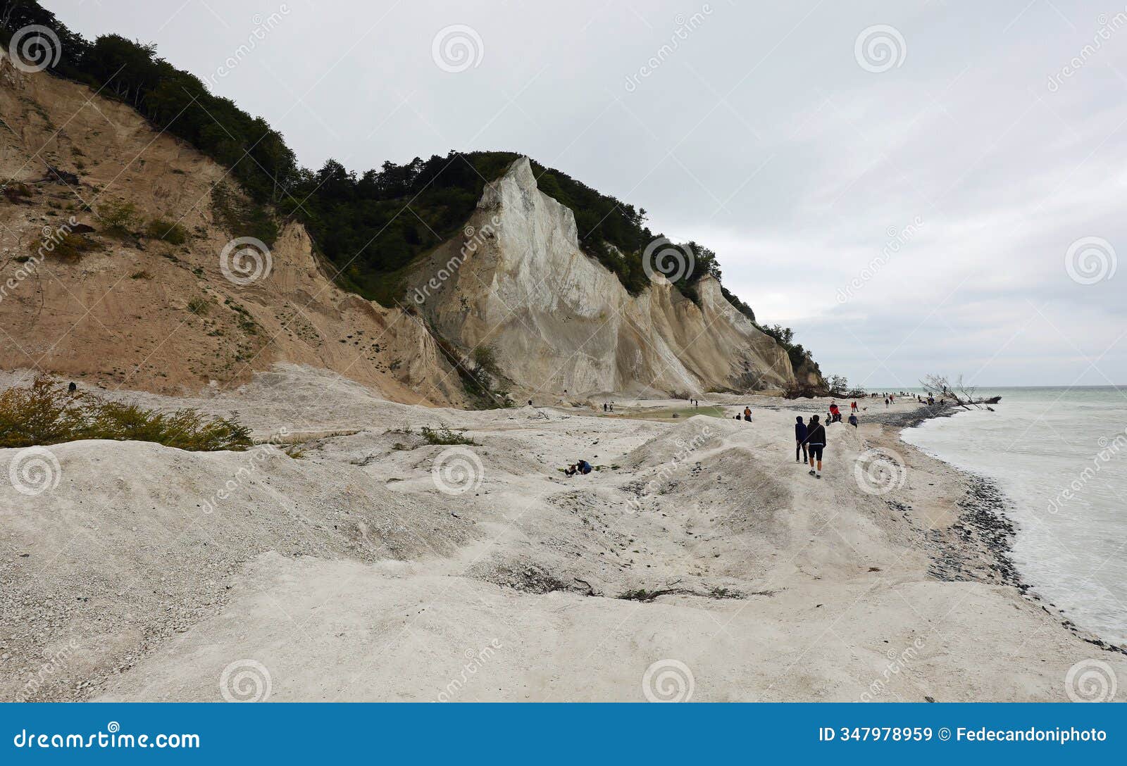 cliff in denmark on the island of mons klint made of calcium carbonate