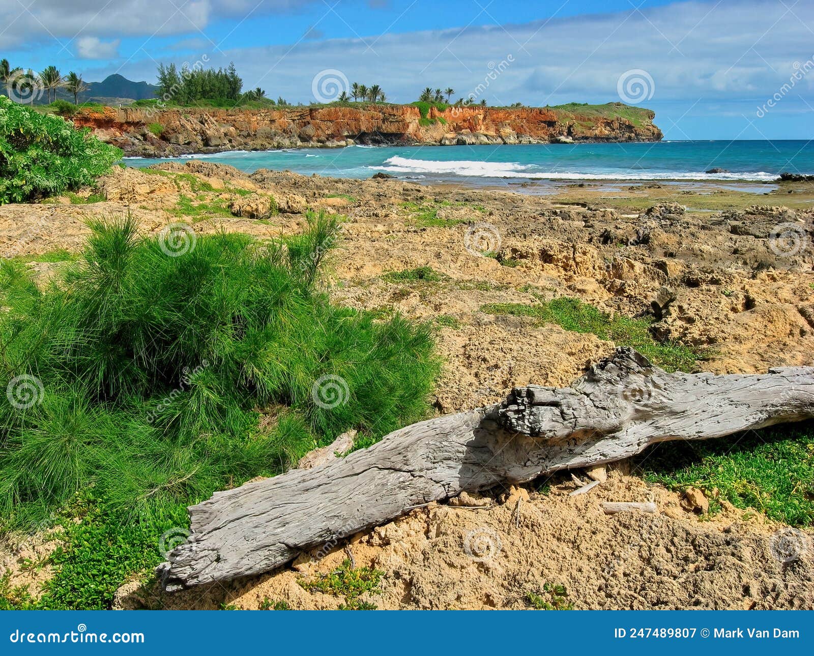 cliff and ocean views along maha'ulepu heritage trail between shipwrecks beach and punahoa point