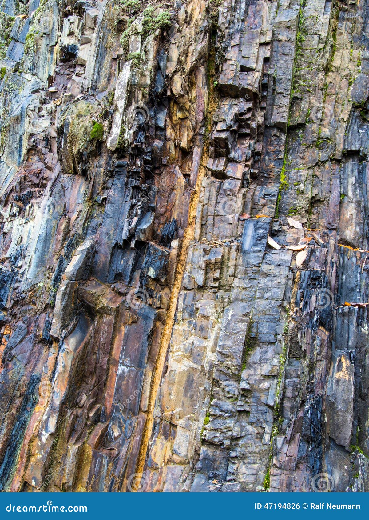 cliff in the quarry at bromberg