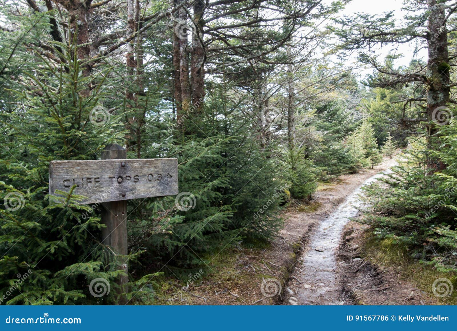 Cliff Tops Trail Sign stockfoto. Bild von himmel, spur 91567786