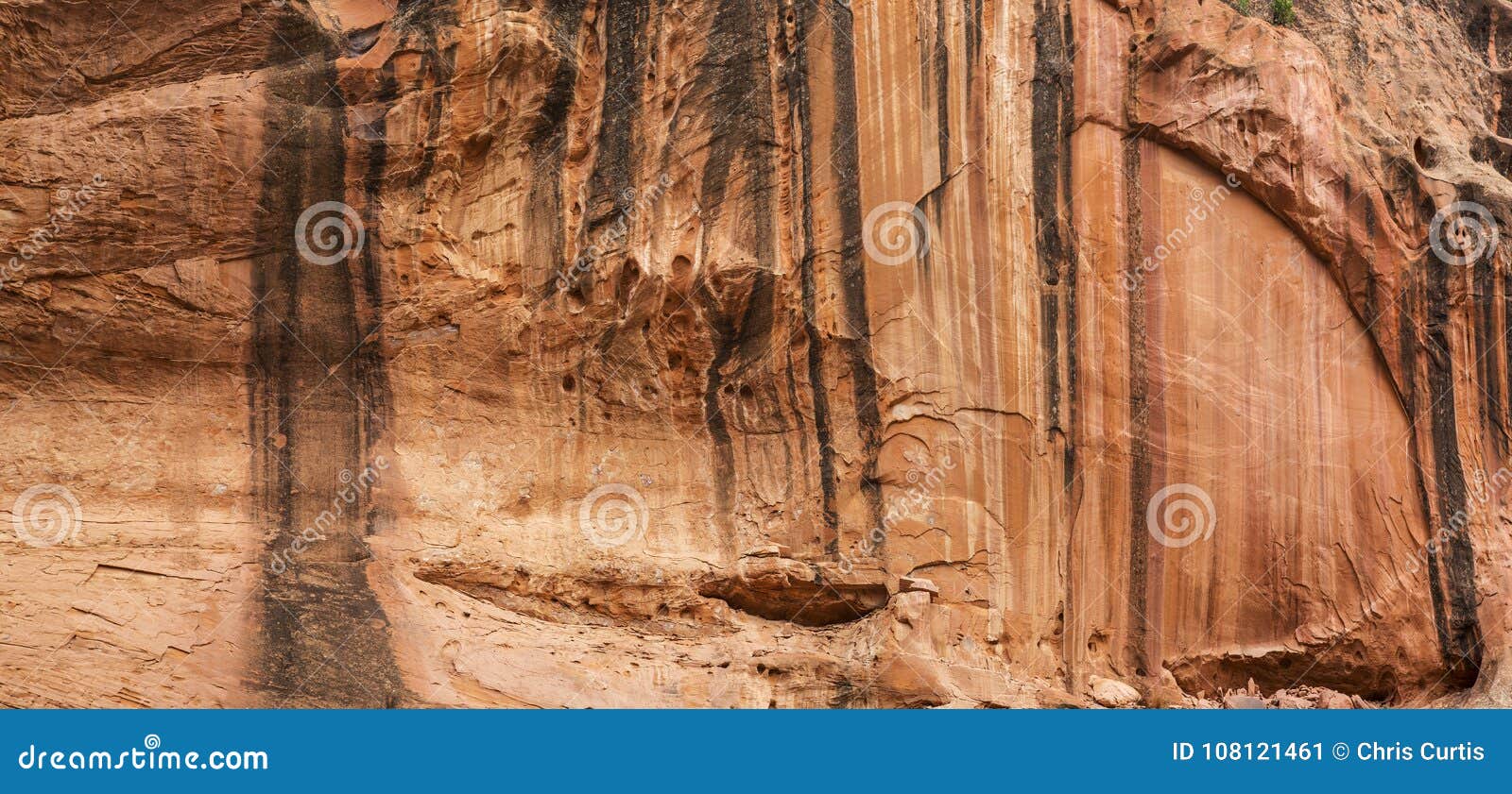 cliff wall in long canyon on the burr trail