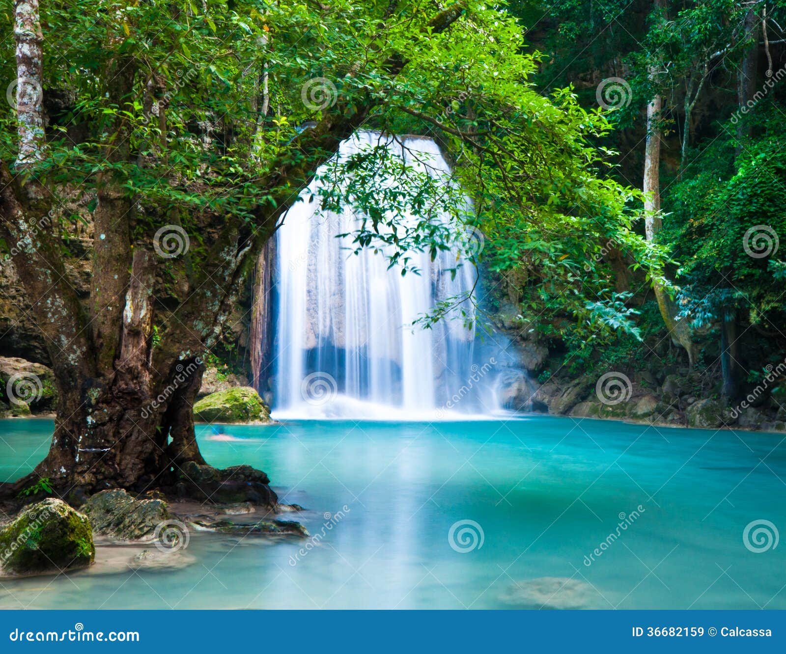Design your own wallpaper Design your own wallpaper