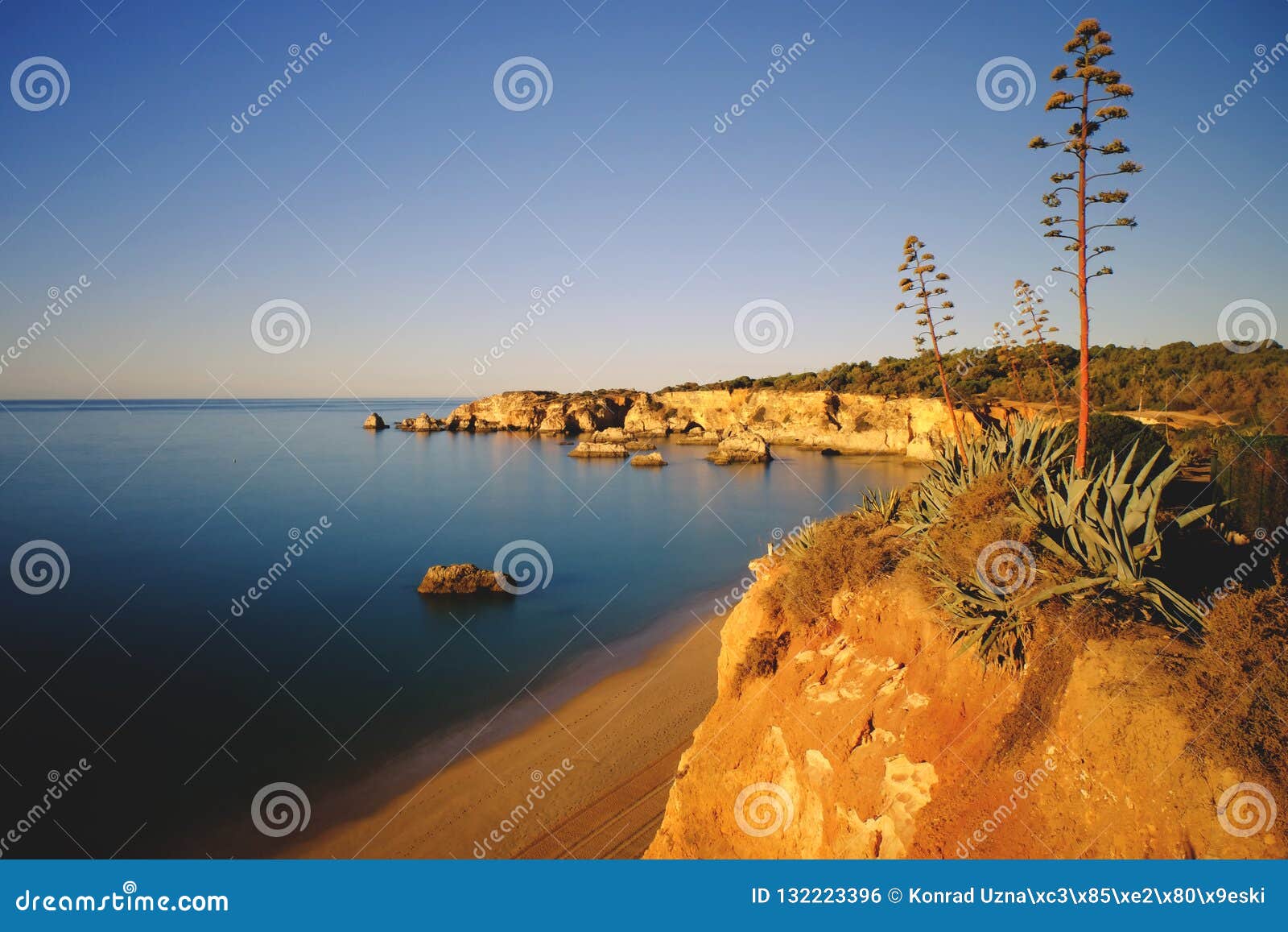 cliffs on the beautiful coast of portugal, algarve, portimao.