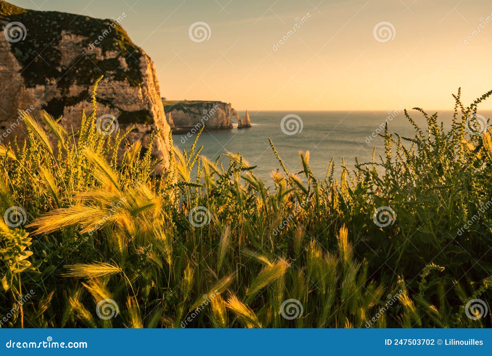 beautiful golden sunset on the cliffs of etretat, normandy, france