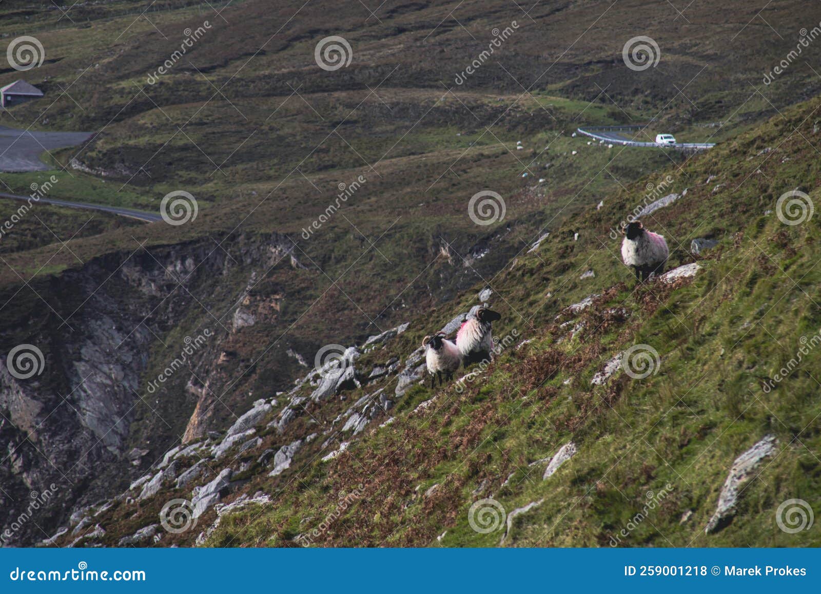 Cliffs on Irish Coast, County Mayo Stock Photo Image of mountain