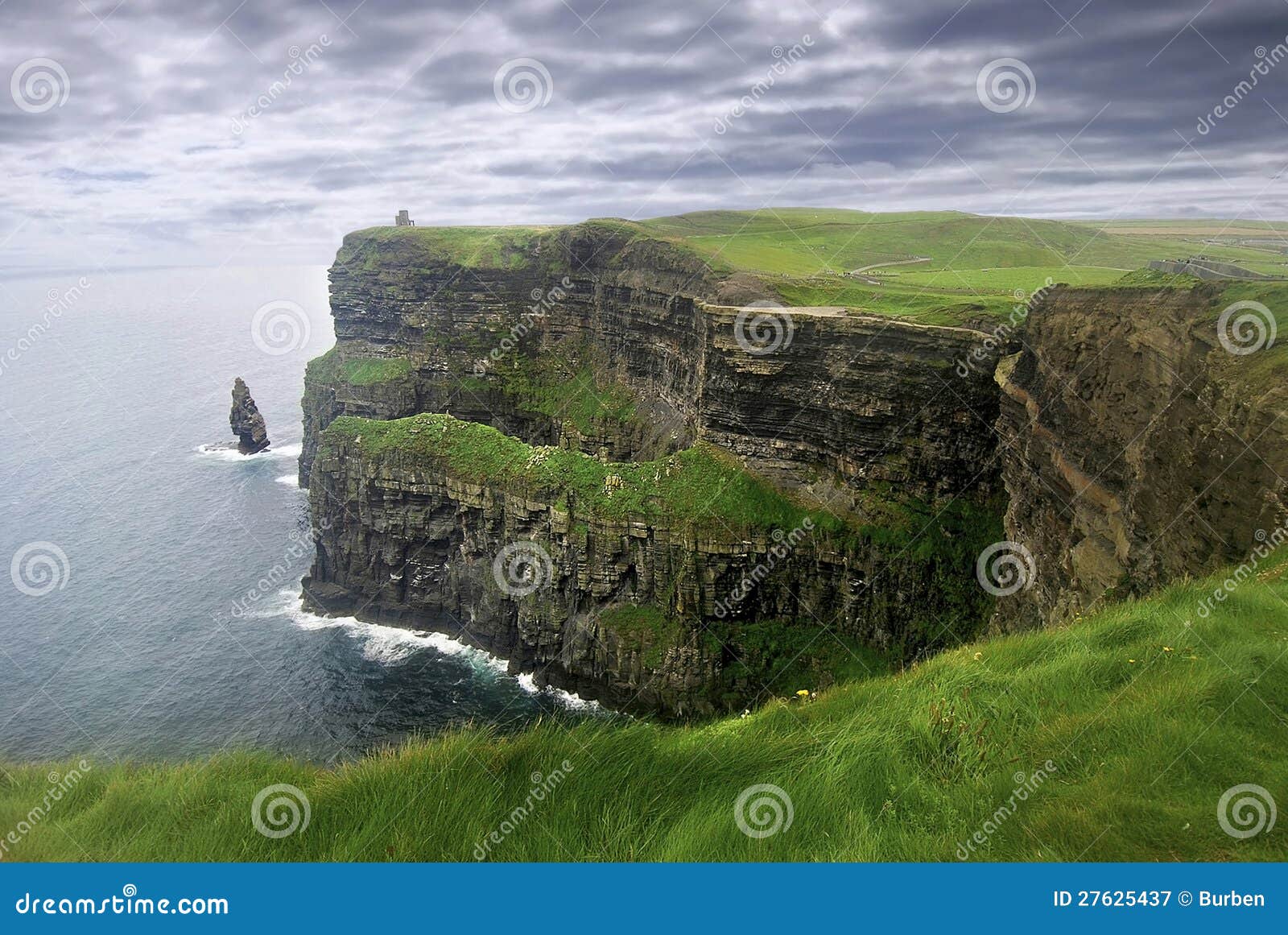 Lush grass in Ireland stock image. Image of cliffy, countryside 27625437