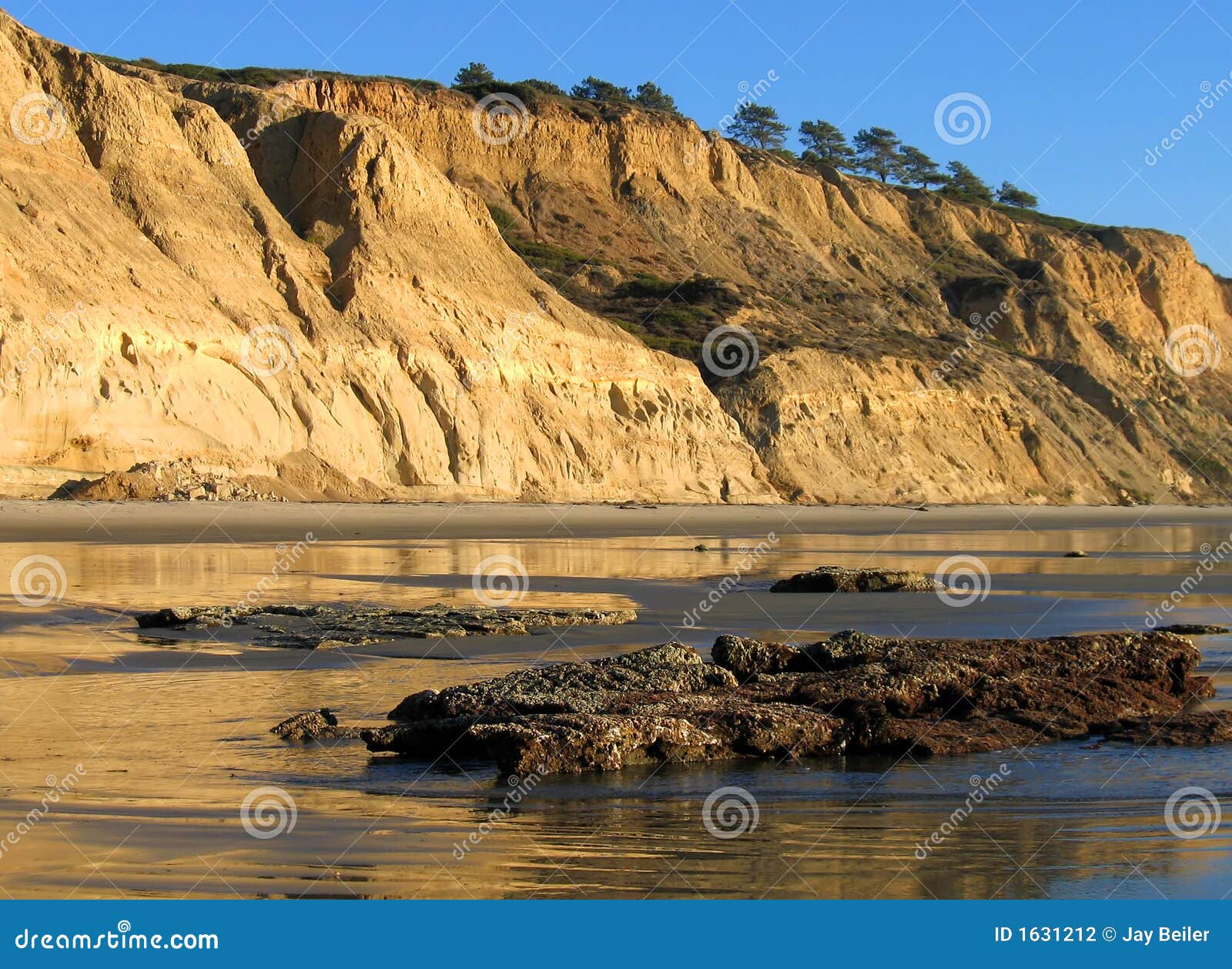 cliffs with reflections at torrey pines state beach, la jolla, california