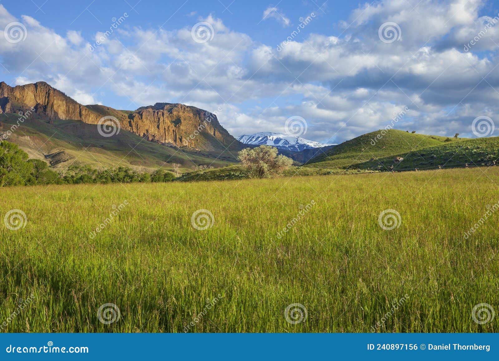 cliffs and snow capped mountains of the absaroka range above a field in western wyoming