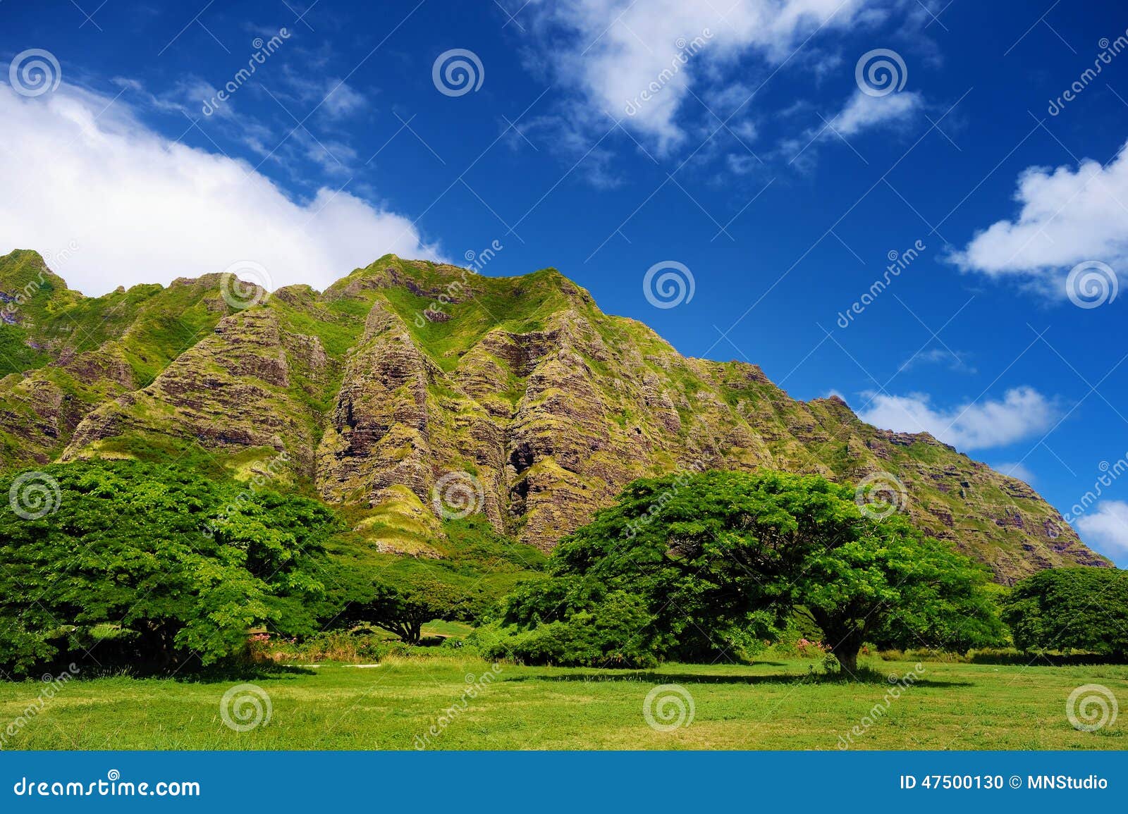 cliffs and trees of kualoa ranch, oahu