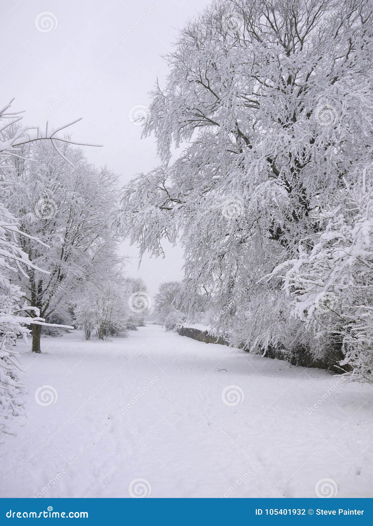 Clifton Down hace un país de las maravillas silencioso del invierno. Las condiciones atmosféricas perfectas producen un paisaje nevado hermoso en Clifton Down