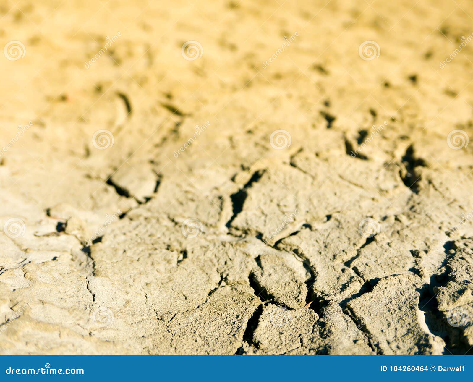 Climate change concept, dried surface of desert ground. Big cracks and shadows of lake sediments