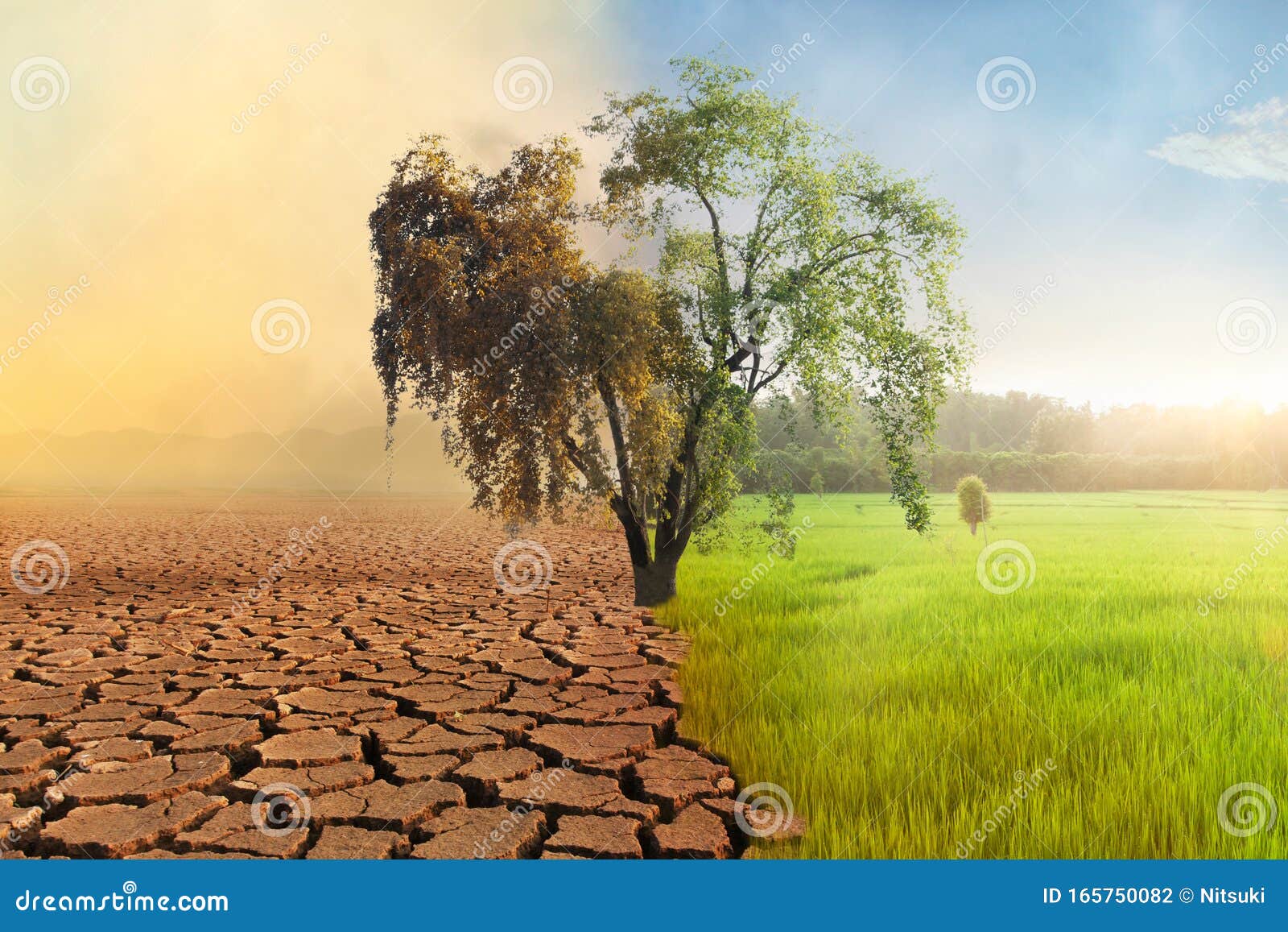 climate change drought and green aboundance fields compare