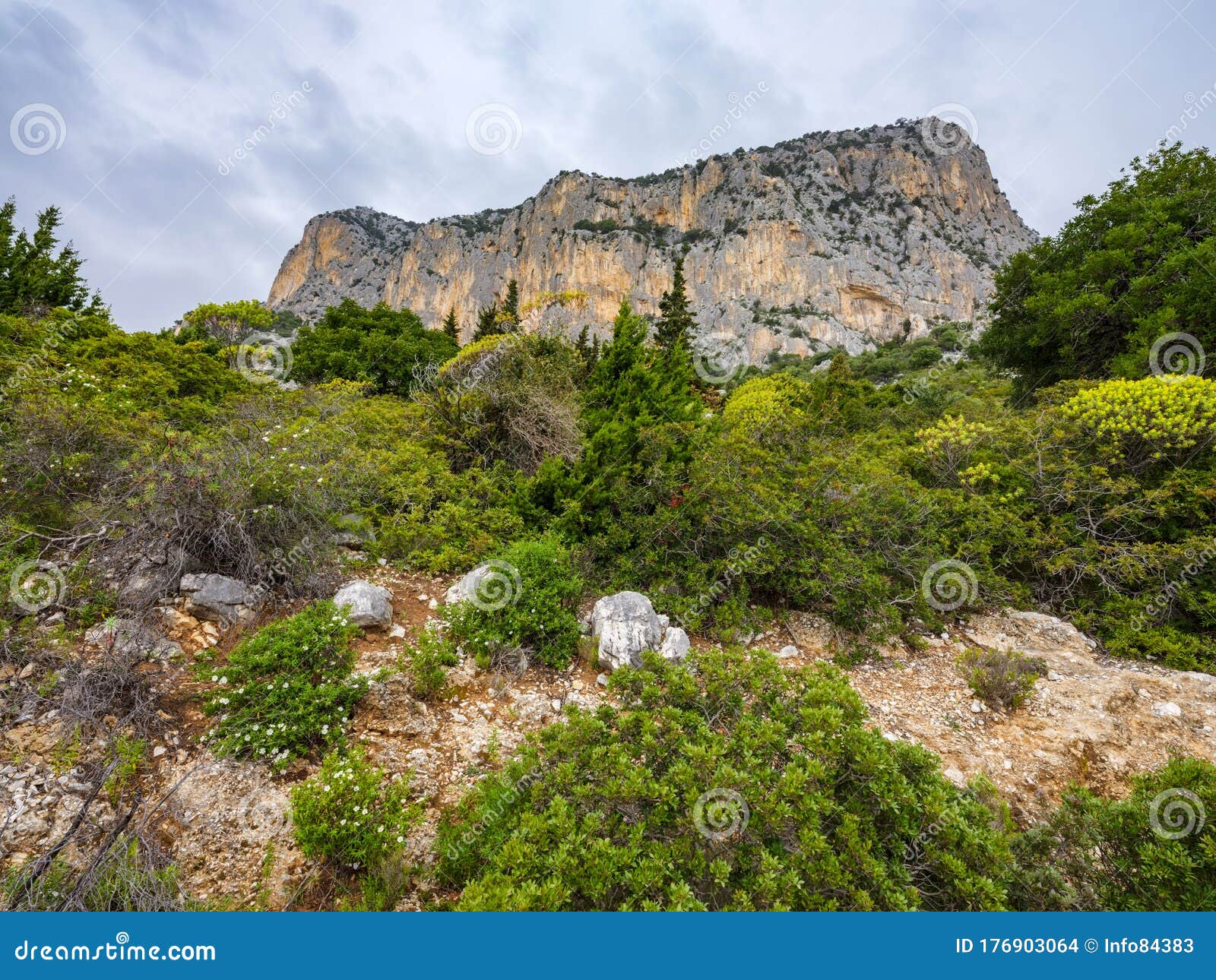 Limestone Cliffs And Bastions Of Baunei Sardinia Italy Stock Photo Image Of Landscape Adventure