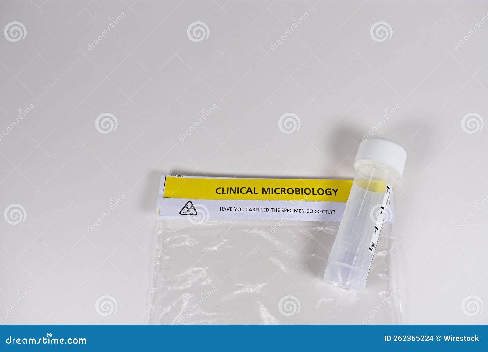 Clinical Microbiology Specimen Plastic Bag with Sample Test Container
