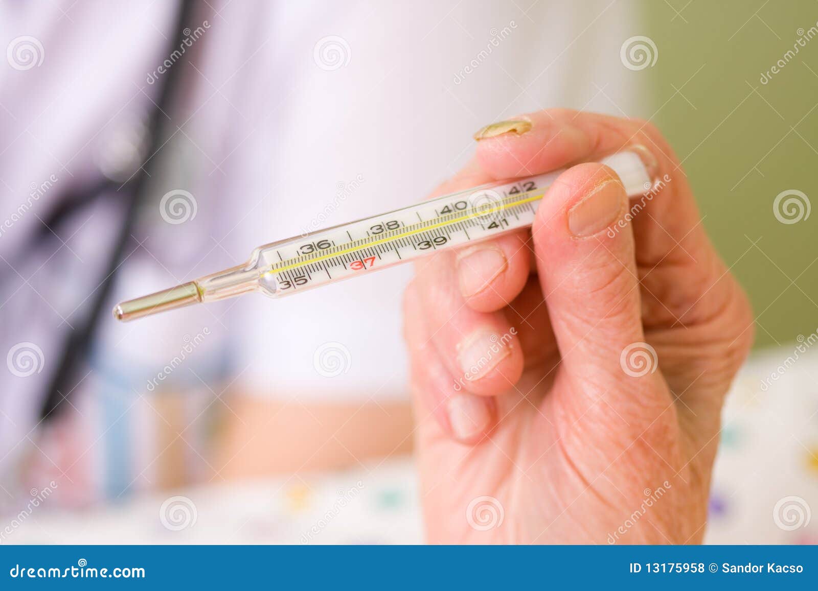 Clinical Thermometer in Elderly Hands Stock Photo Image of holding