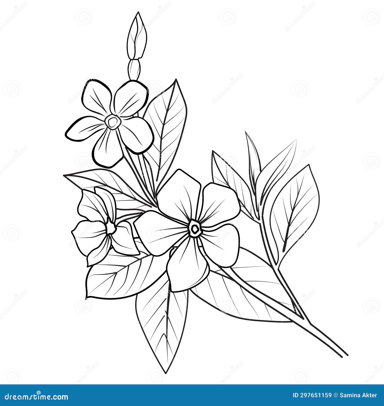 Daisy Flower Drawing Kids Coloring Page With Pencil Line Art Design In  Detailed Vector Graphic Stock Illustration - Download Image Now - iStock